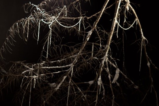 479F2277-12C0-4967-B355-075A34169734_4_5005_c.jpeg