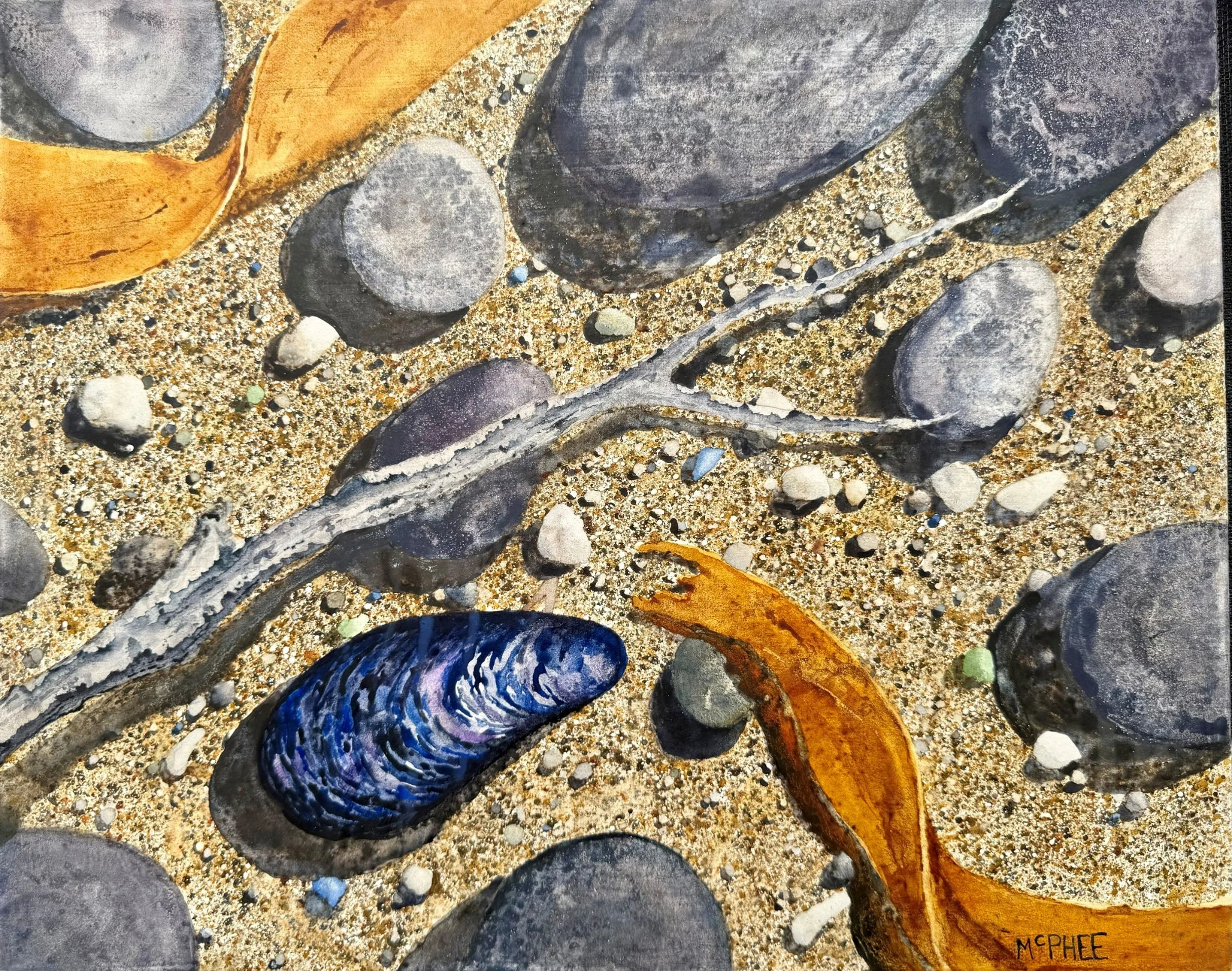 Beach_Finds_Conventional_Lanczos_4200x3312.jpg