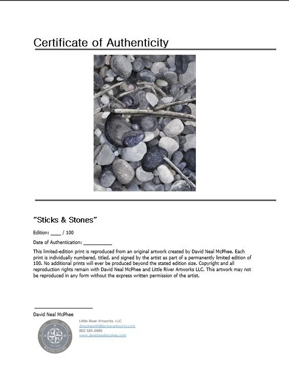 Sticks & Stones COA Pic.jpg