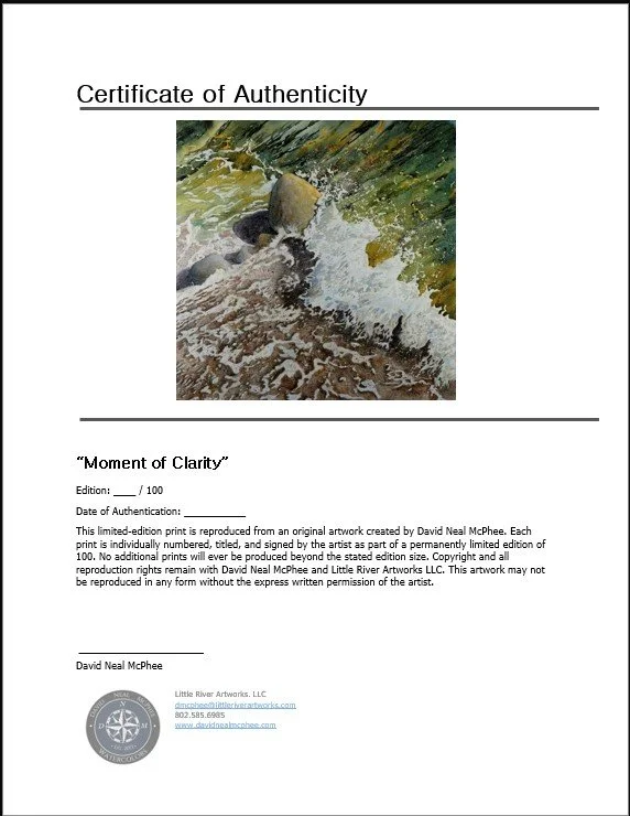 Moment of Clarity COA Pic.jpg