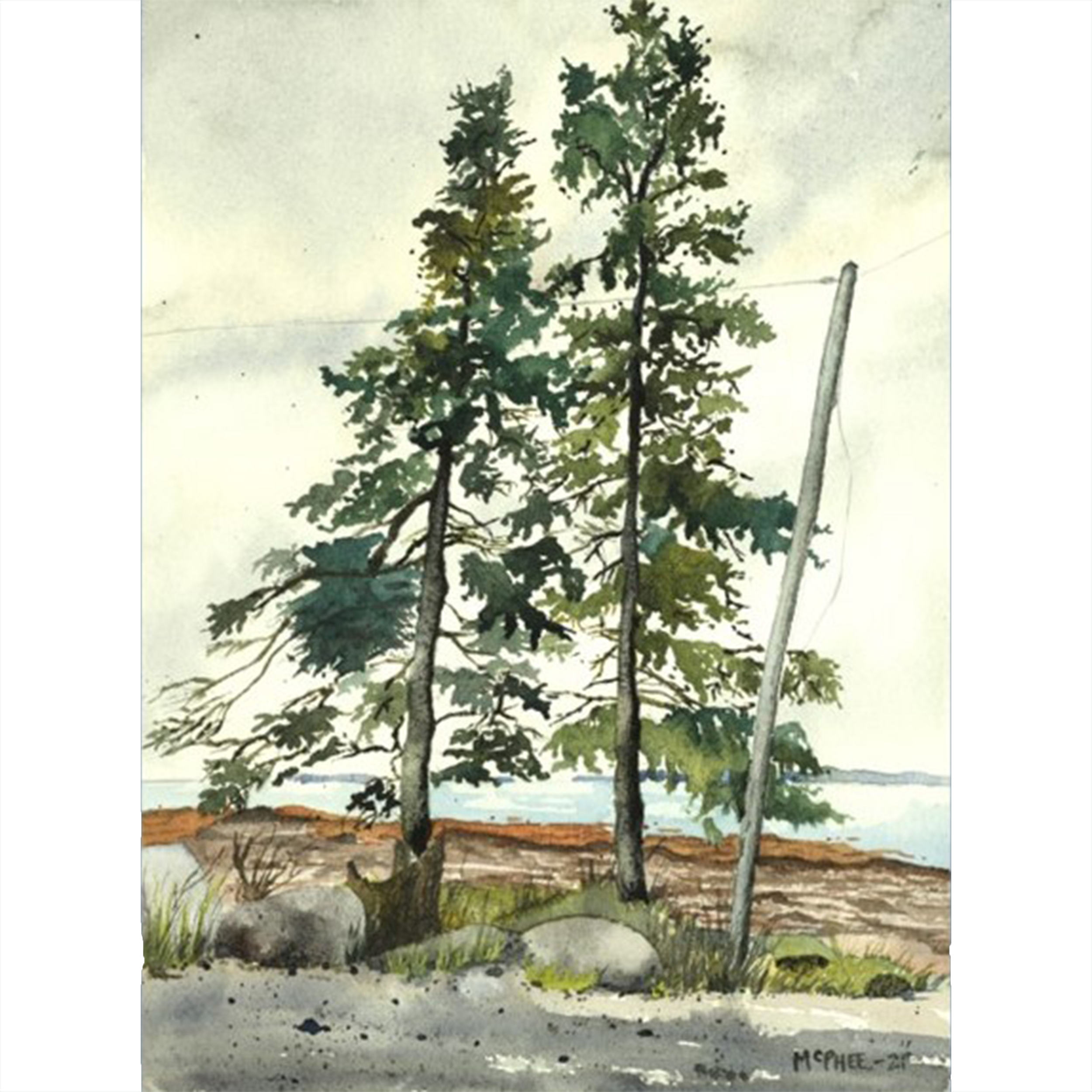 "Three Trees" Limited Edition Print