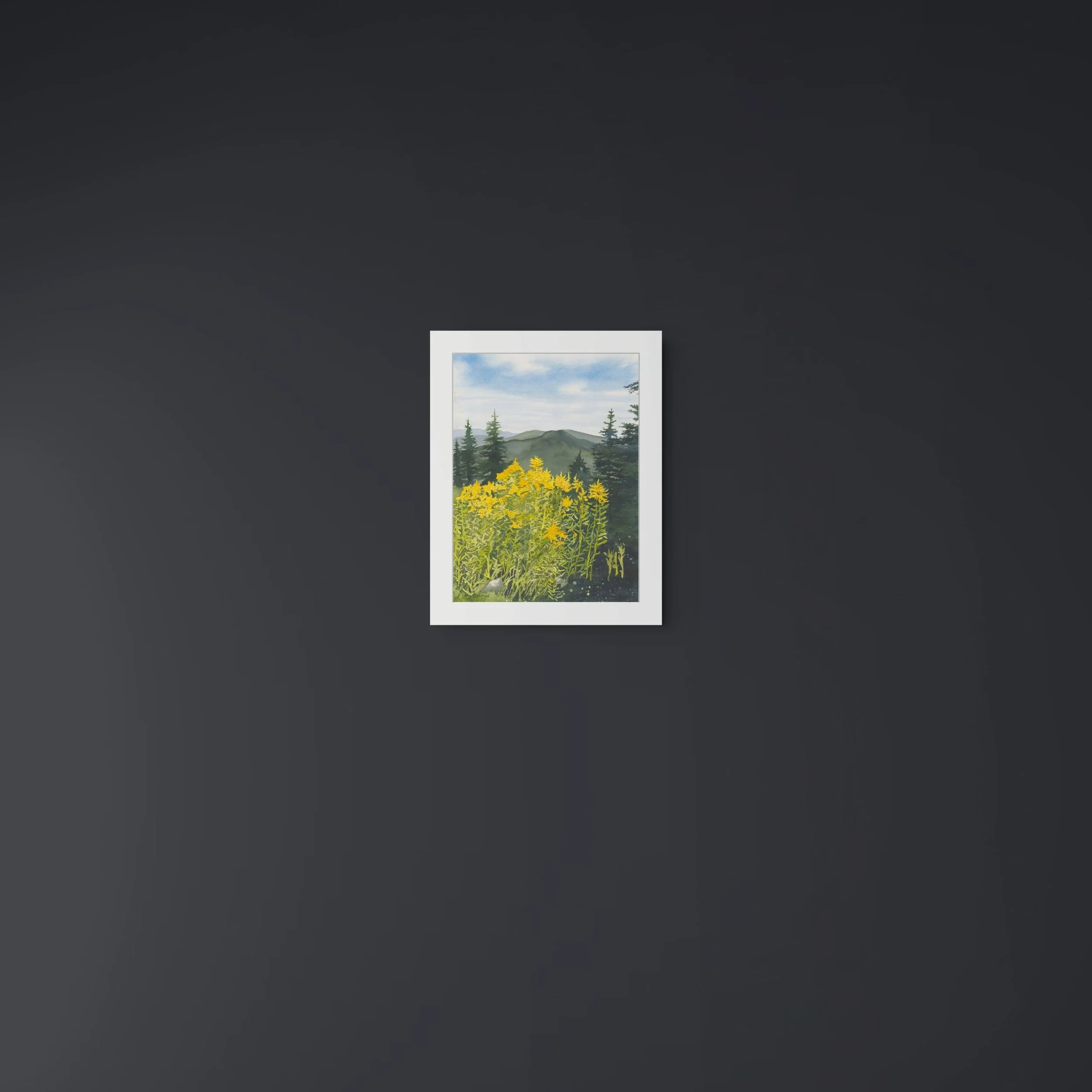 Vermont Skyline Matted.jpg