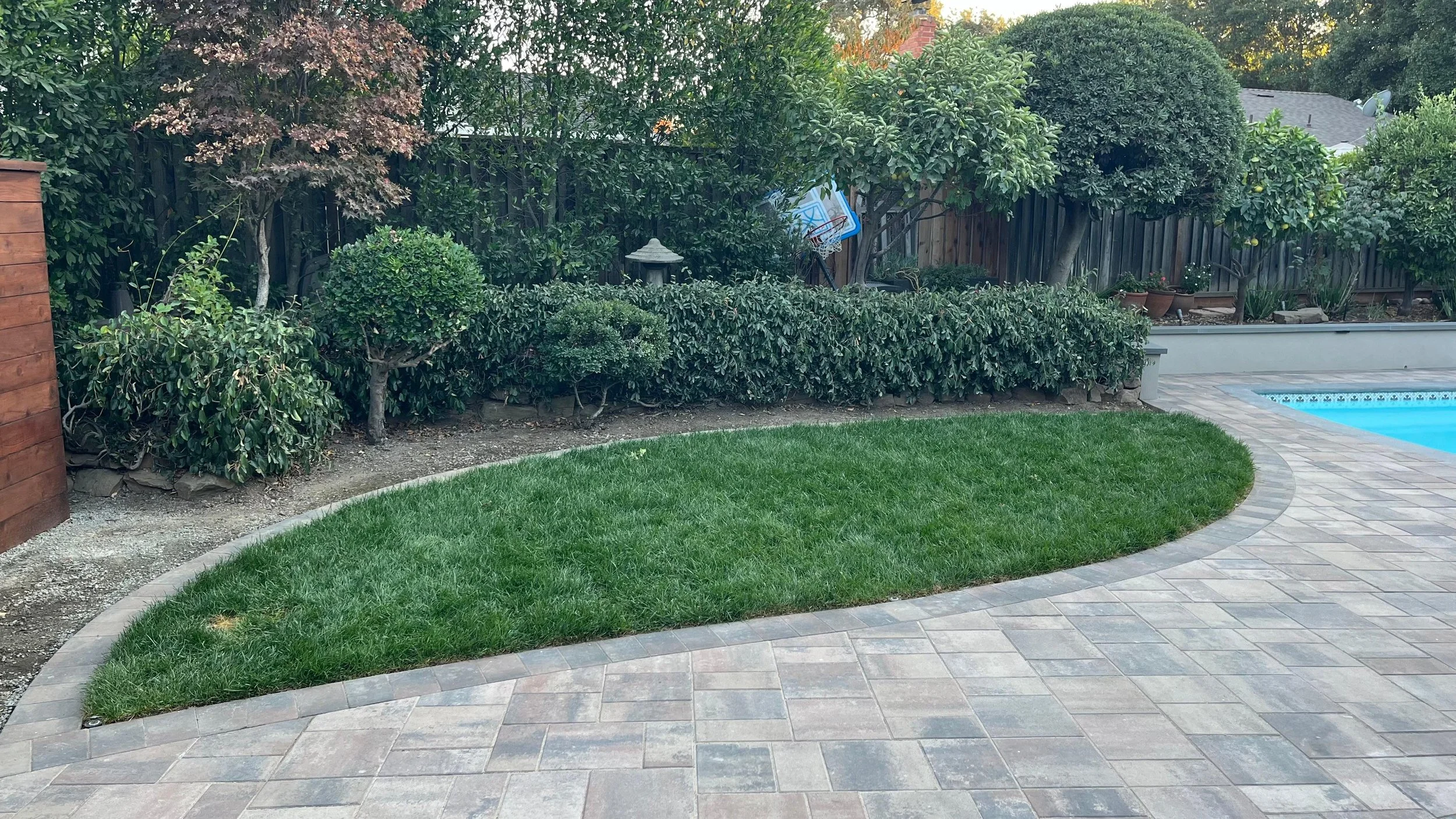 PHOTO-2025-05-23-08-31-41 3.jpg