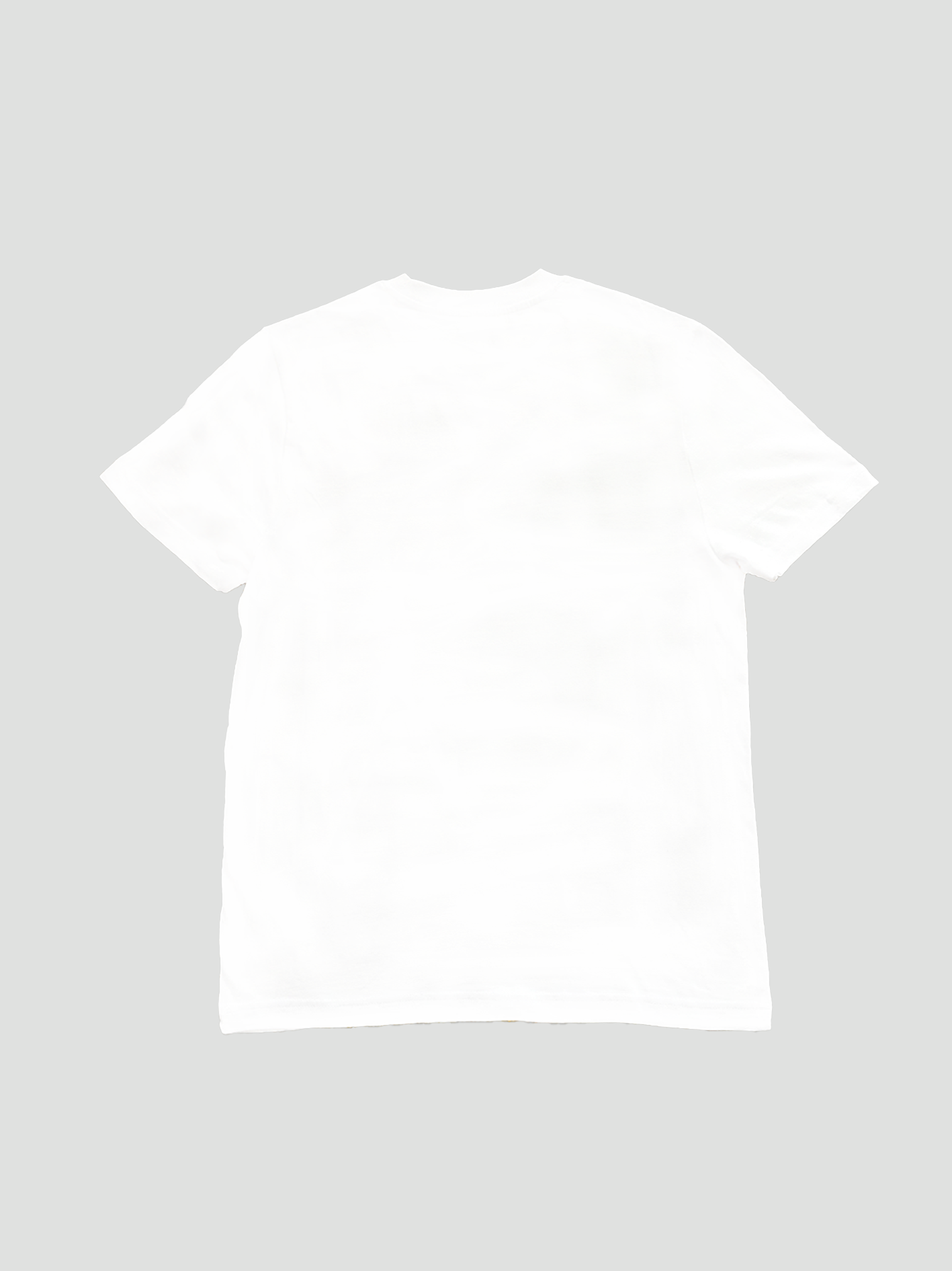 Back of tshirt with background.png