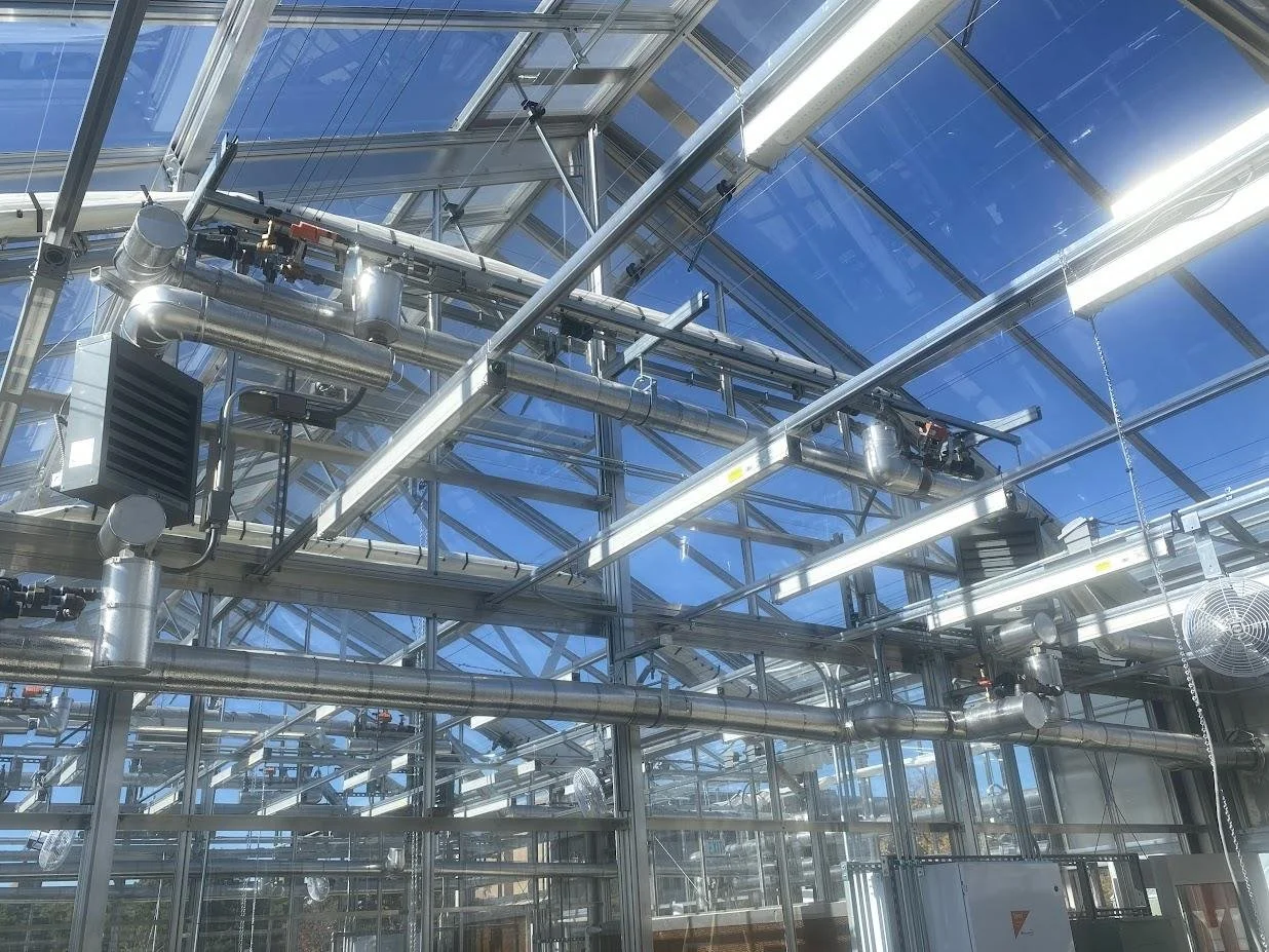 Greenhouse Client: ABI Fresh Produce