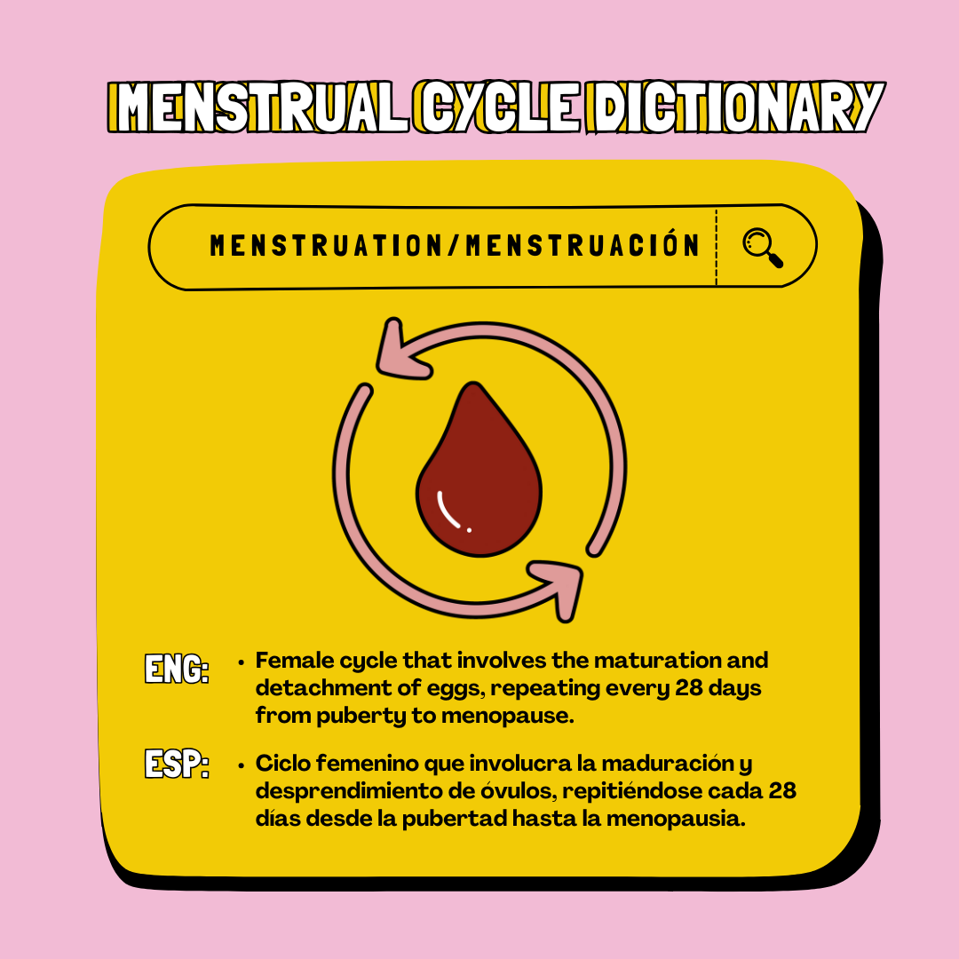 A dictionary of words 