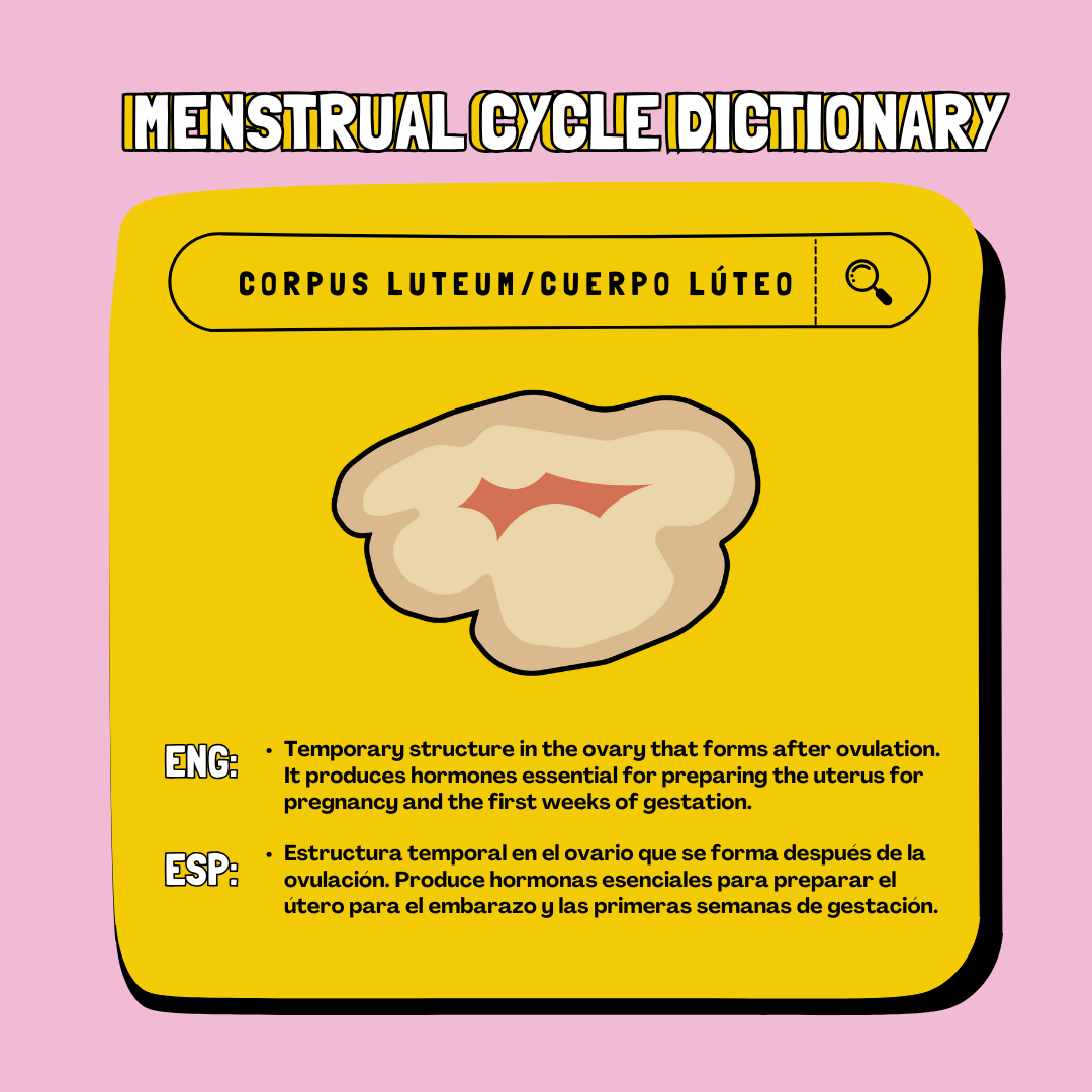 A scientific picture dictionary of the uterus. 