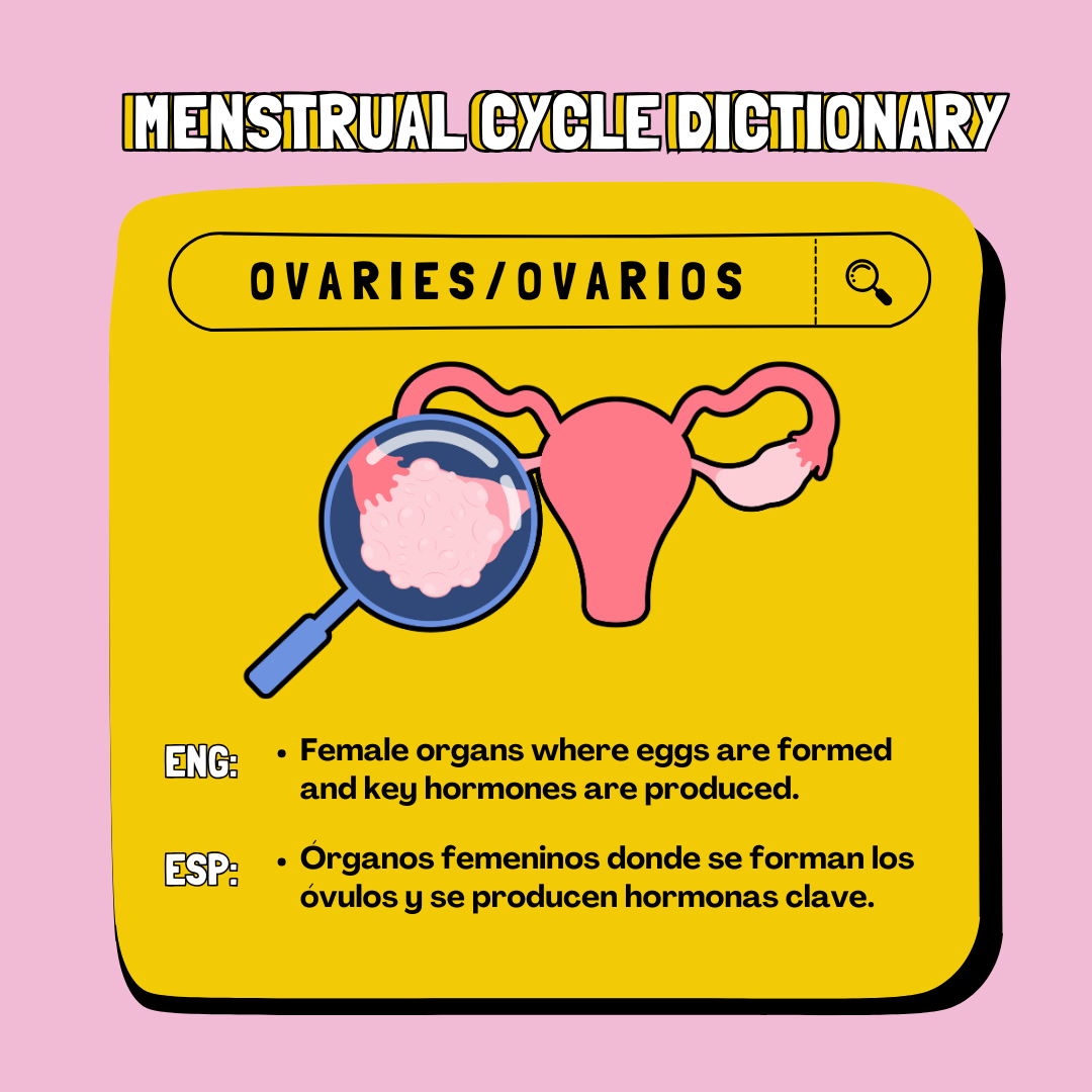 A picture dictionary of the uterus. 
