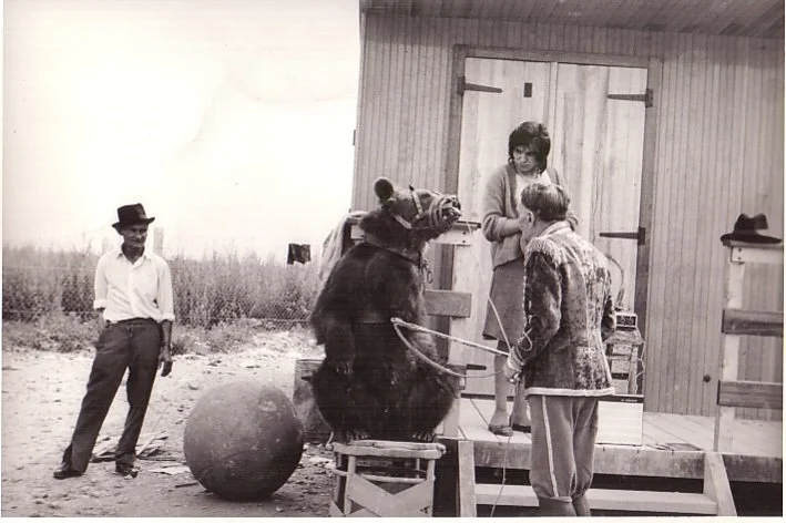 Parisien Gypsies: La Courneuve 1968