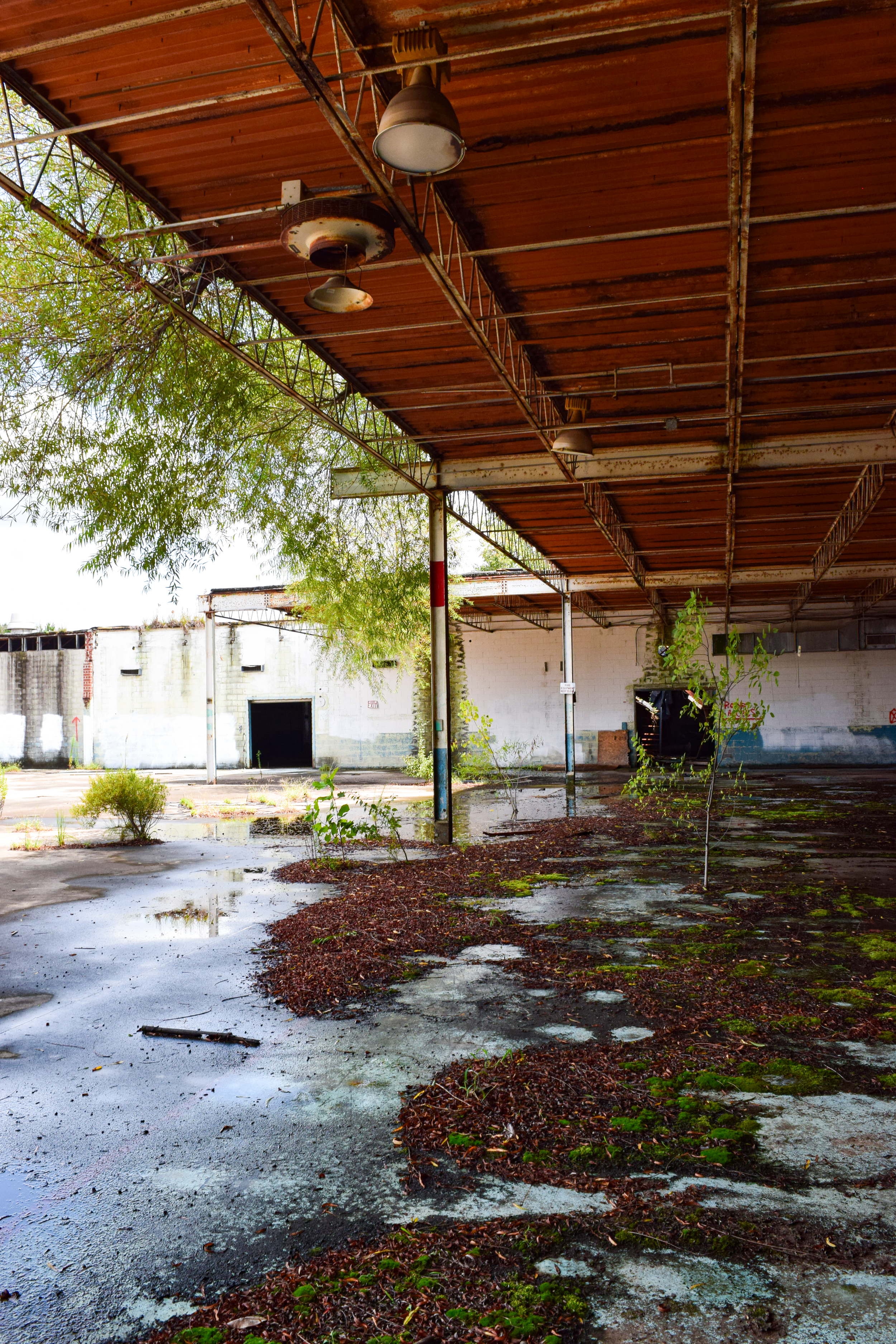 DSC_0634 edited reduced.png