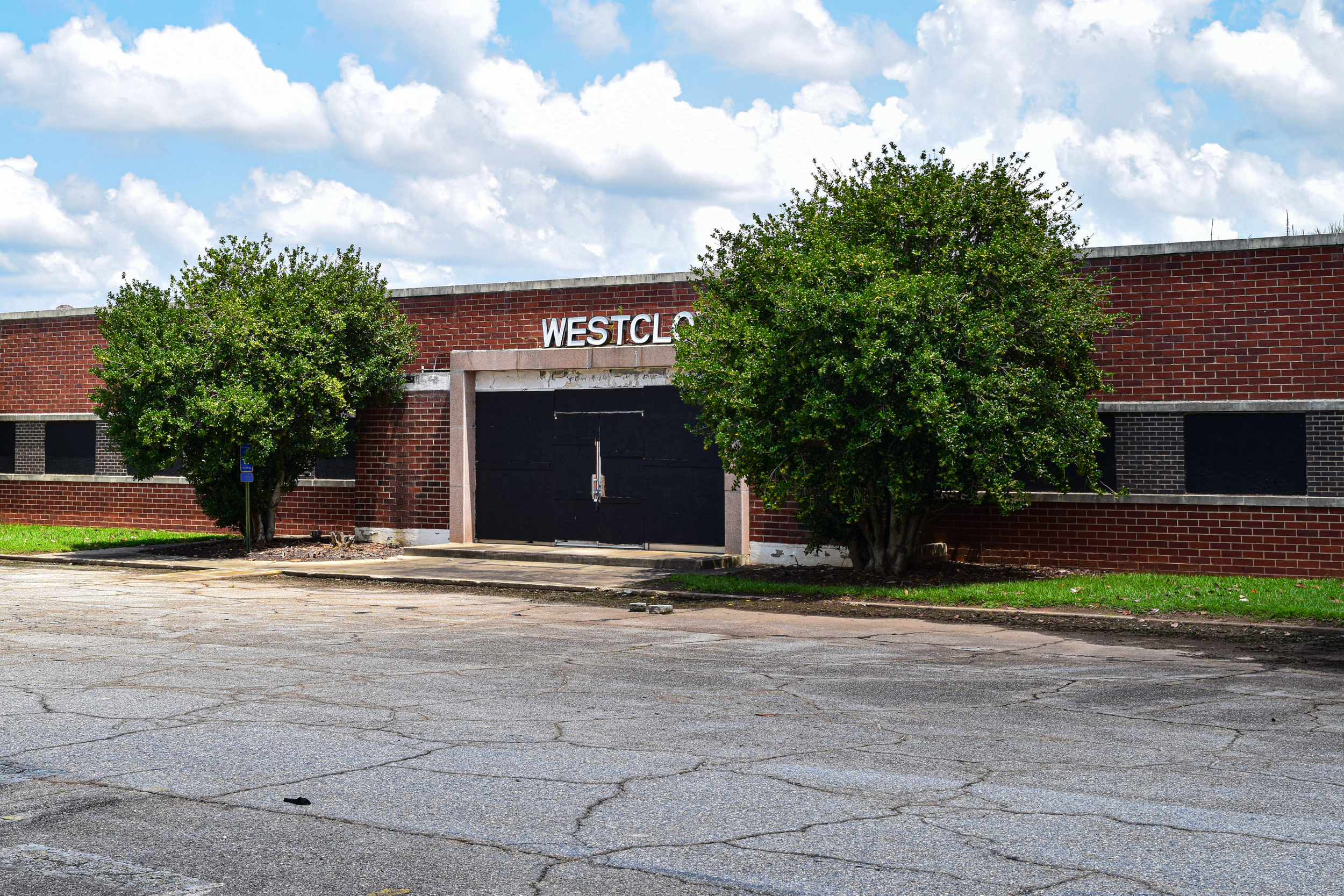 DSC_0665 edited reduced.png