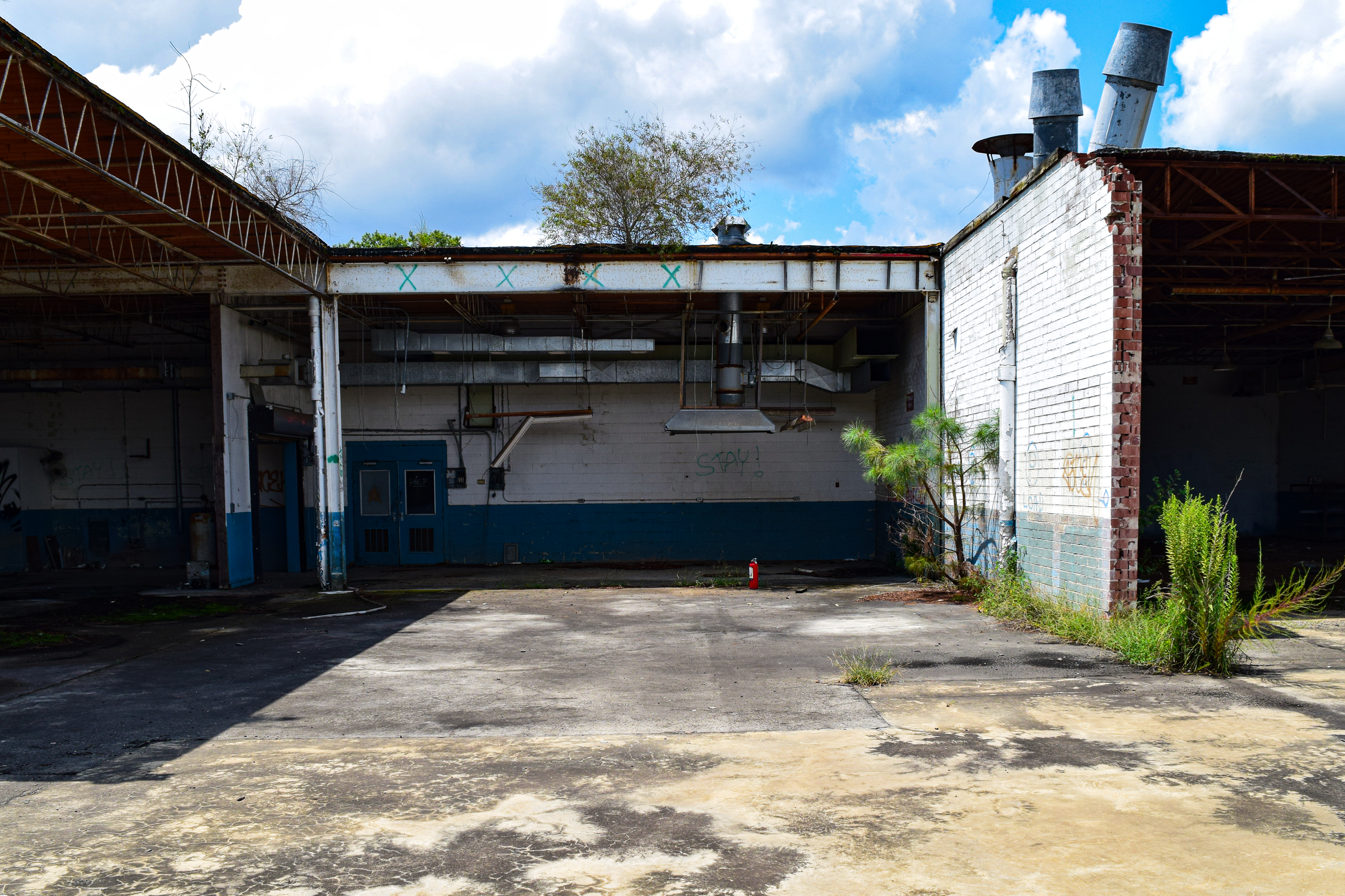 DSC_0626 edited reduced.png