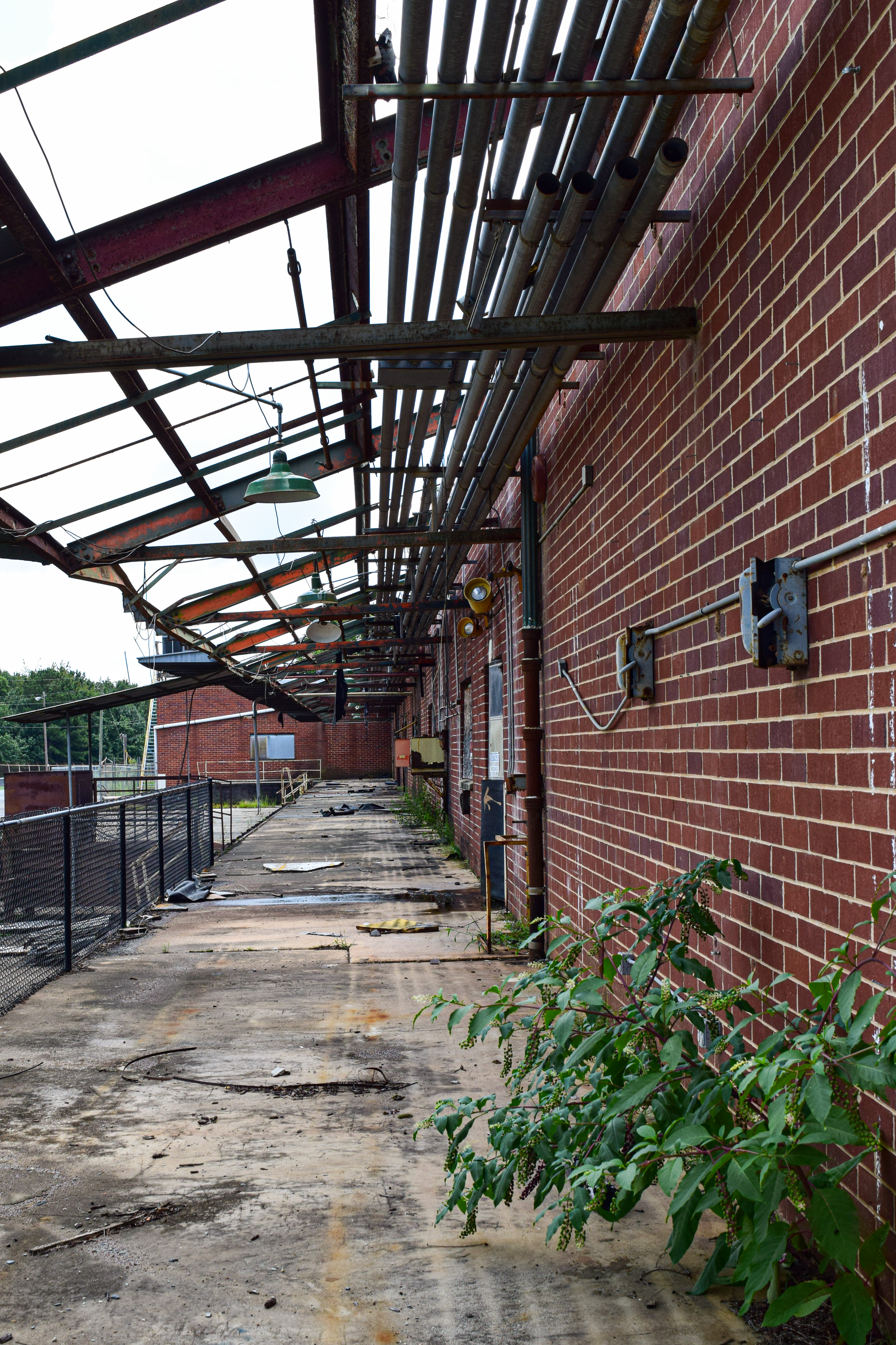 DSC_0651 edited reduced.png