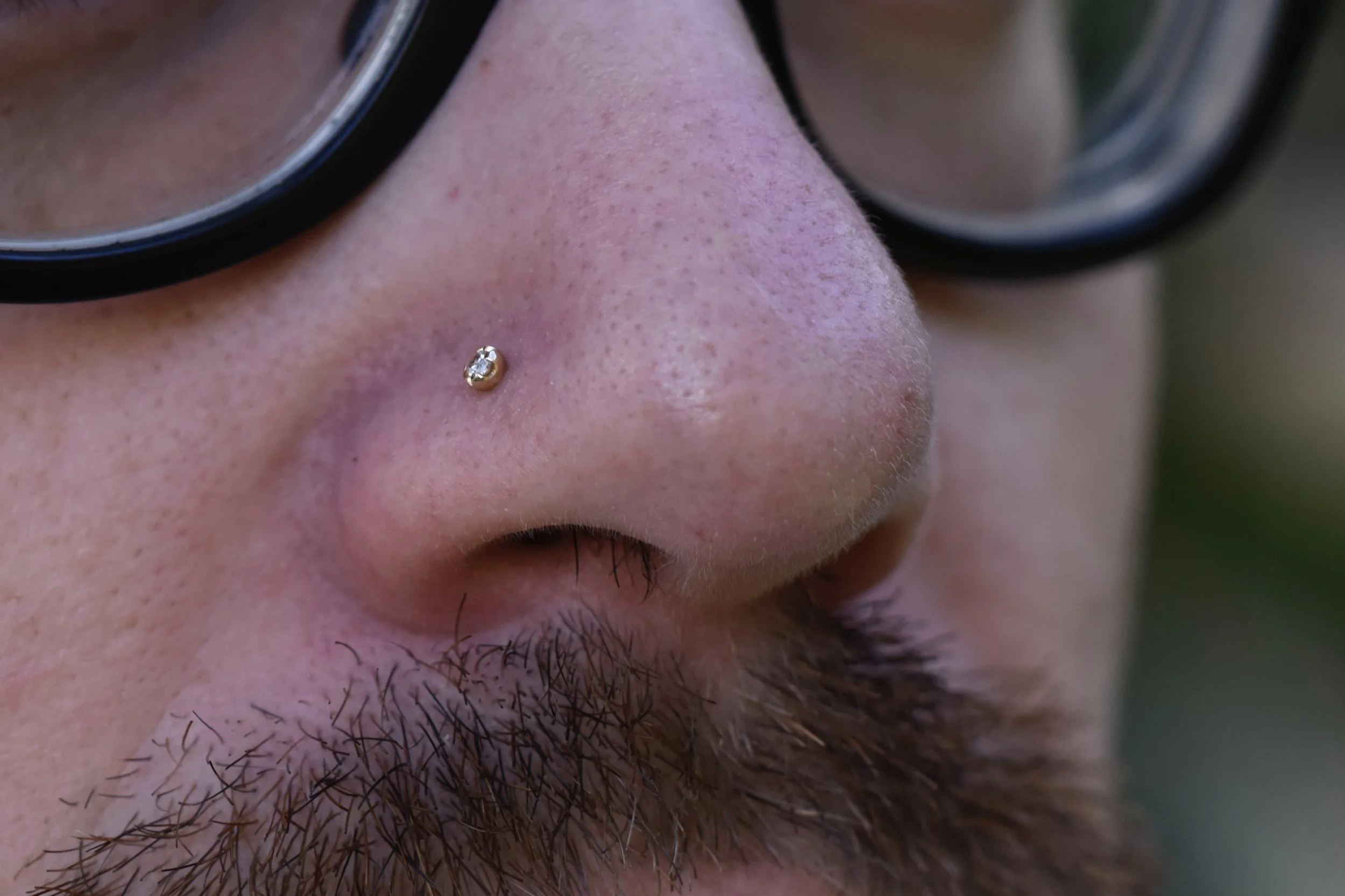 _DSC1001.jpeg
