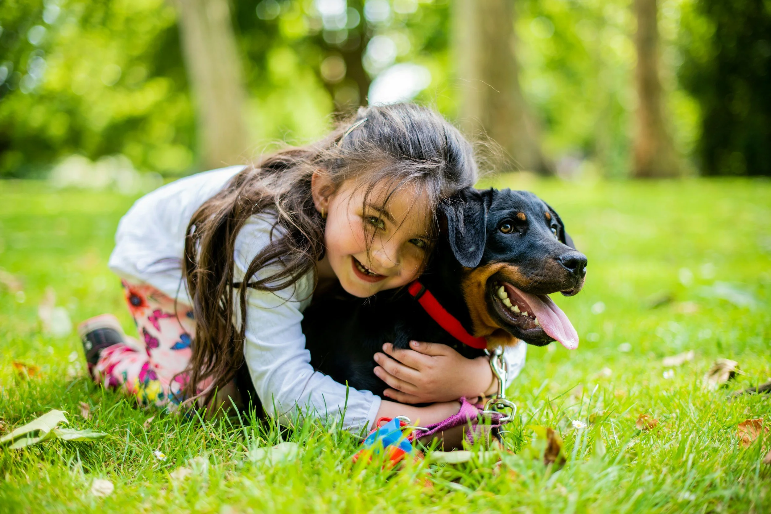A Dog's Love Through a Caregiver's Eyes