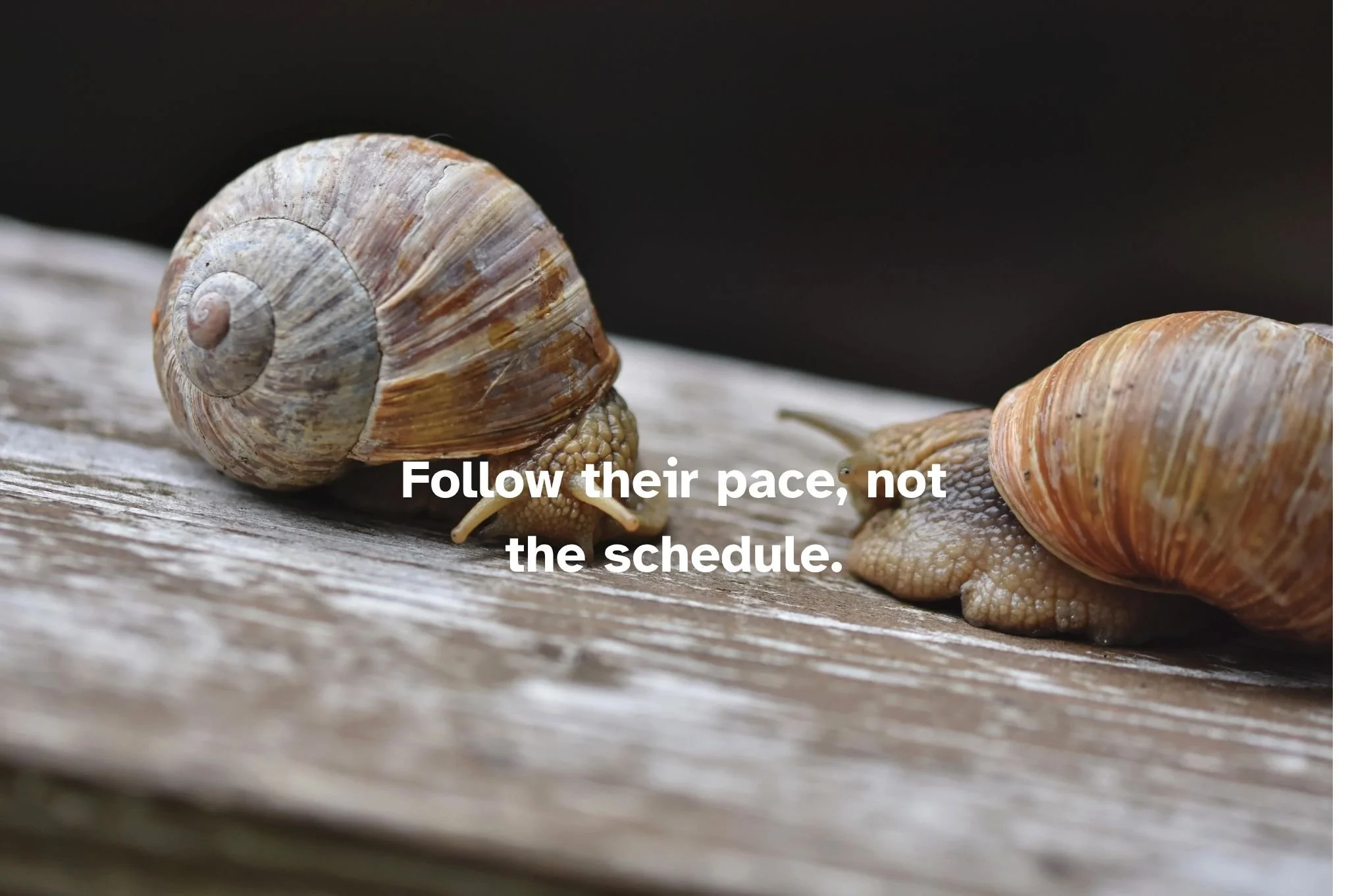 Slowing down is a part of inclusivity. (28).jpg