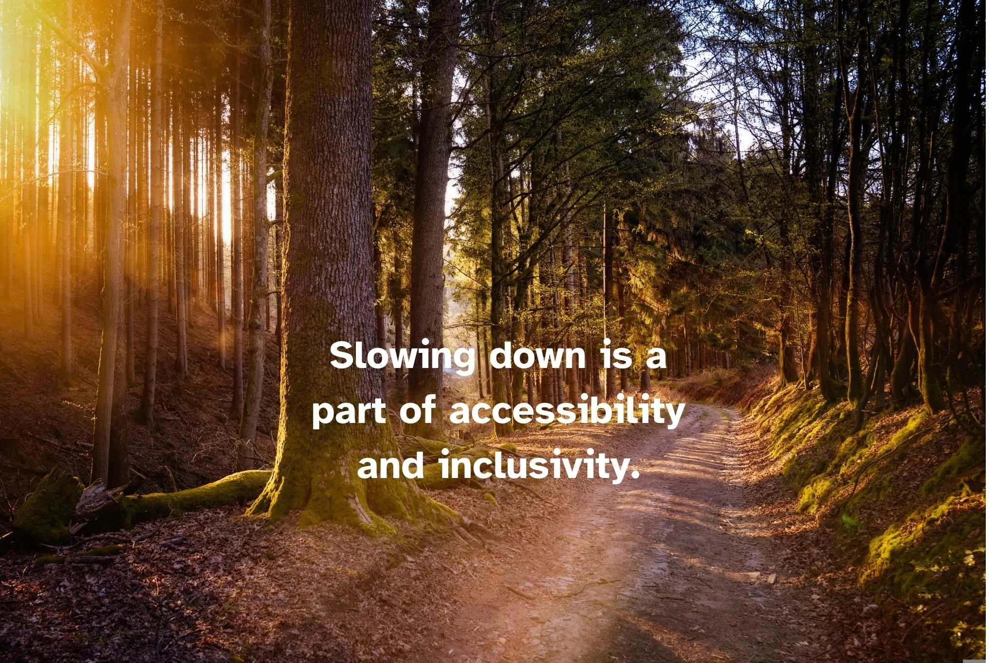 Slowing down is a part of inclusivity. (21).jpg