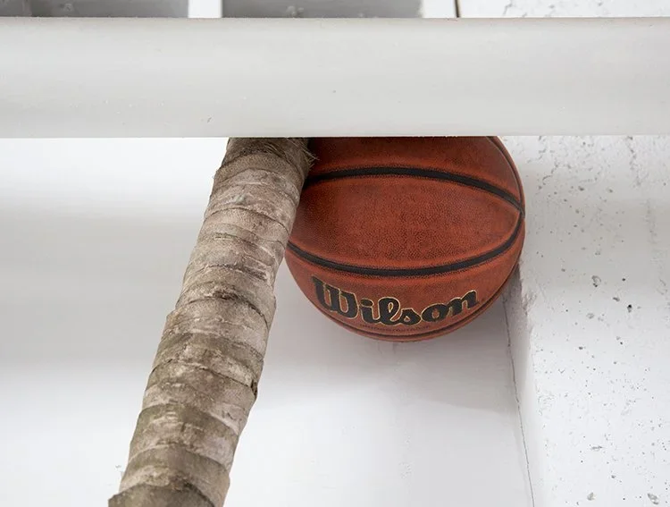   Advantage , palm tree trunk, Wilson NCAA Advantage basketball (detail) 