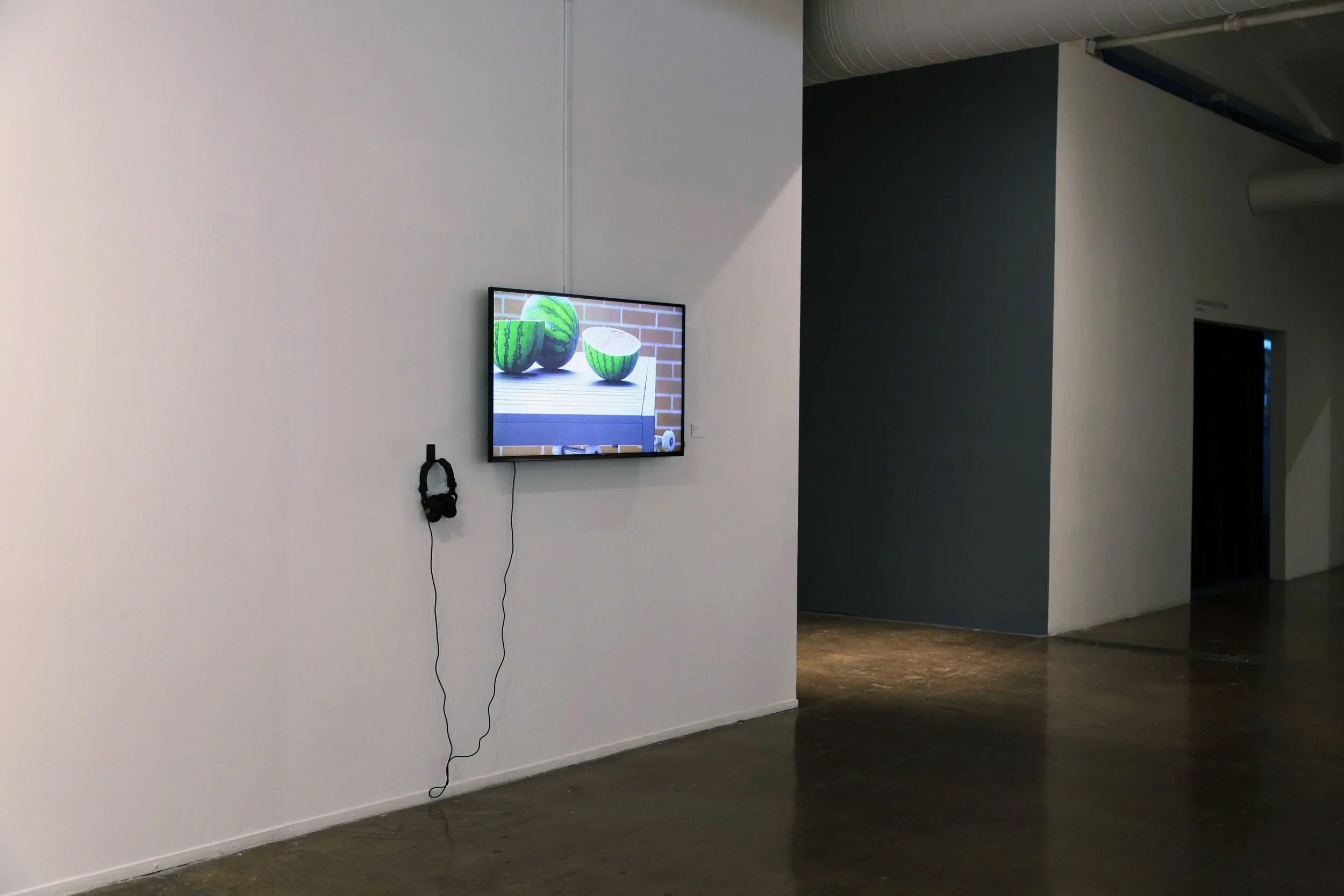   Turn Your Face Toward the Sun , video with found audio recordings 