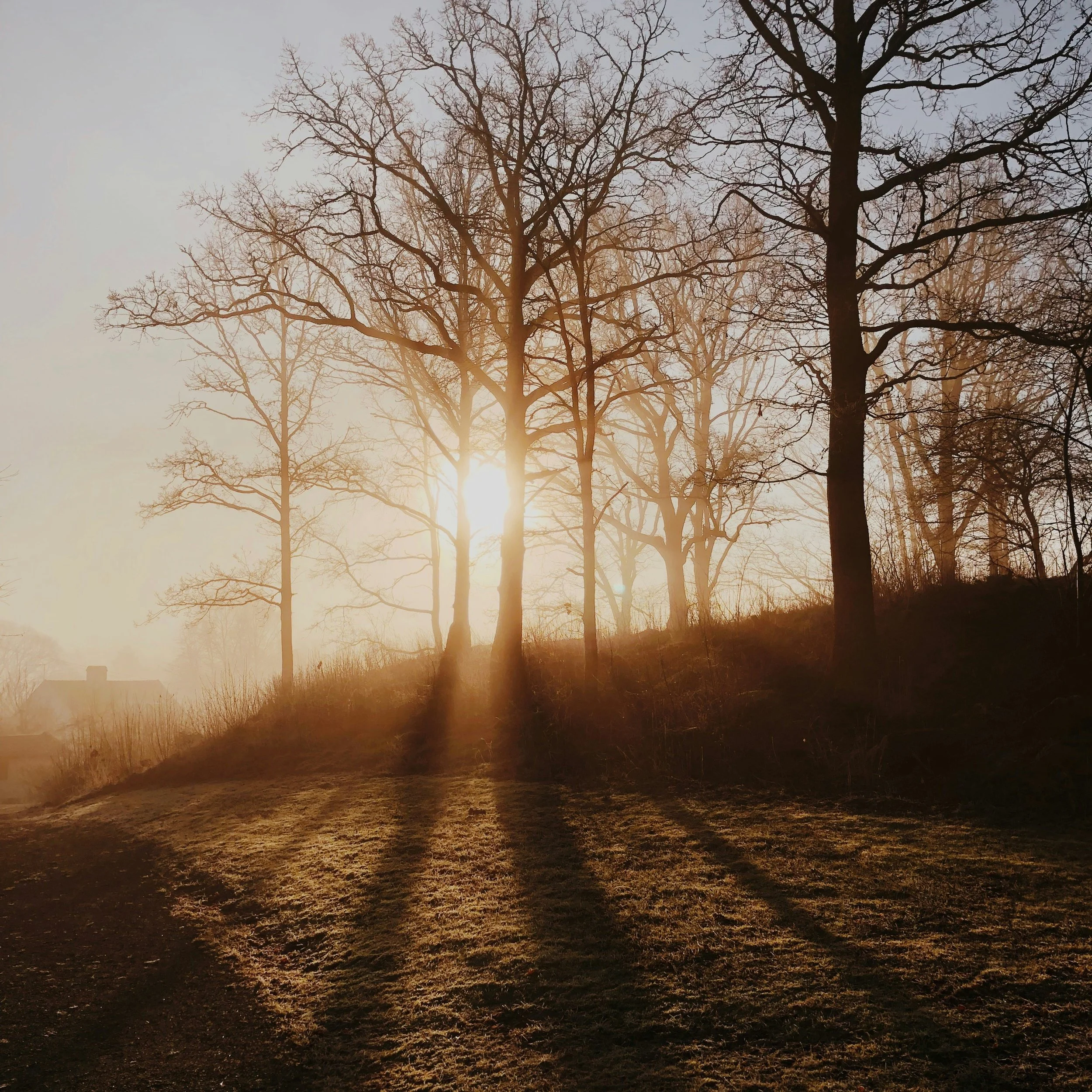 Arrive: A 10-Minute Breath & Stillness Practice