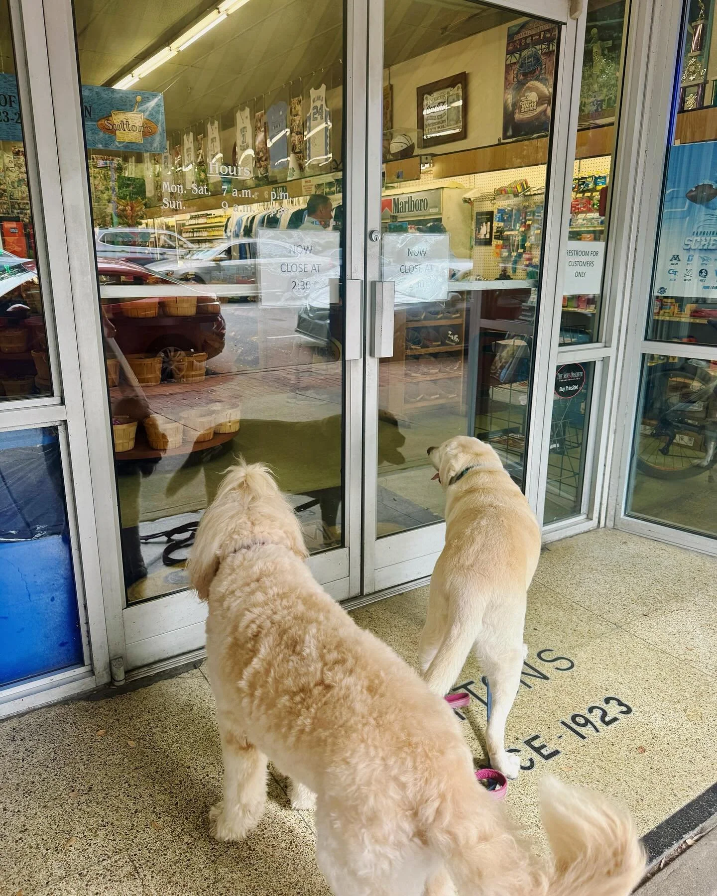 How we feel waiting for those doors to open at 7am on UNC game day!!!🐏🏈 Let&rsquo;s go heels!!🩵👣