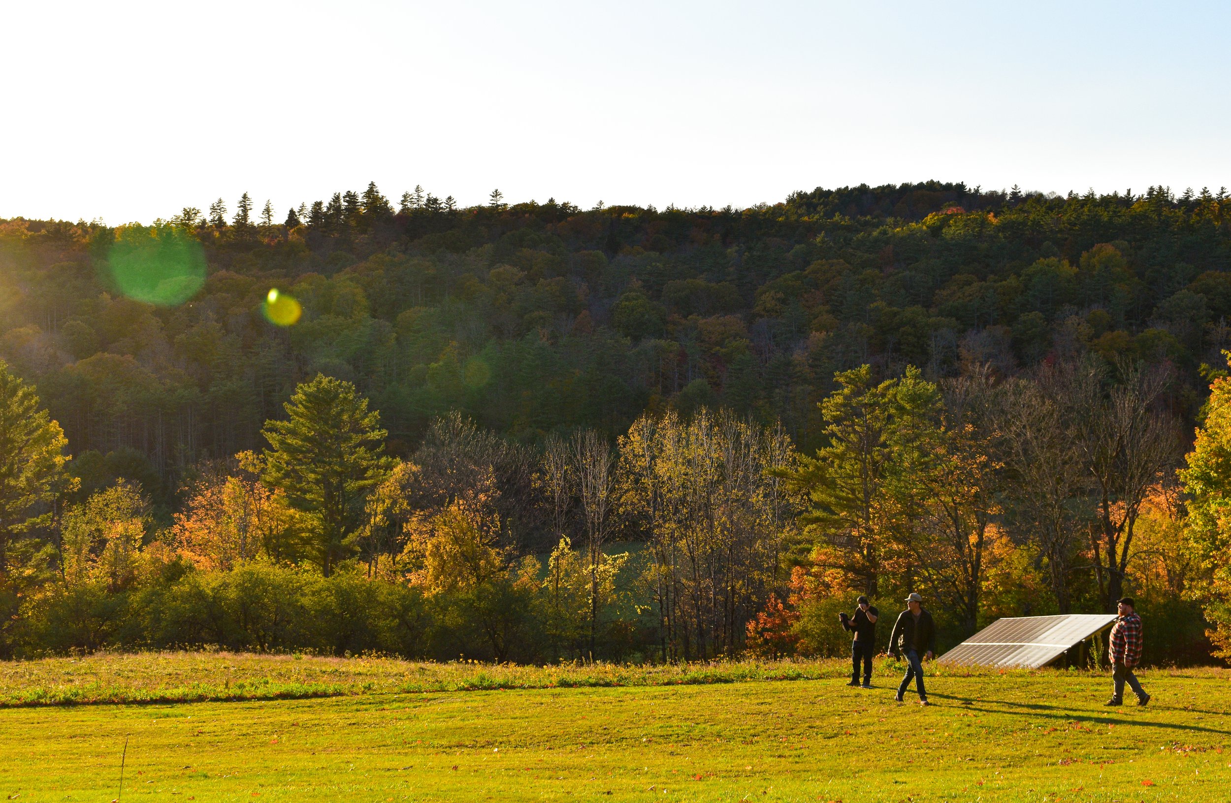 DSC_0194.jpg