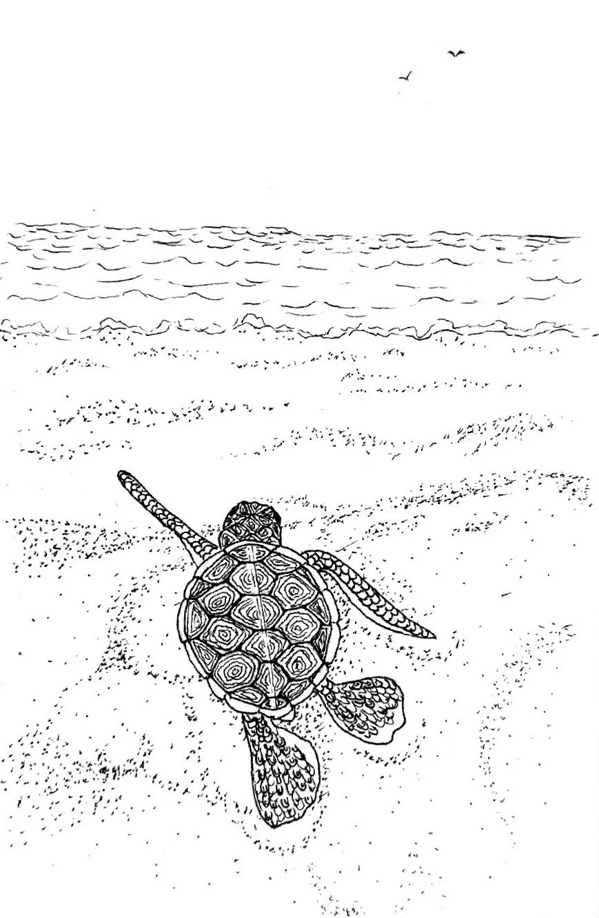 Navigator