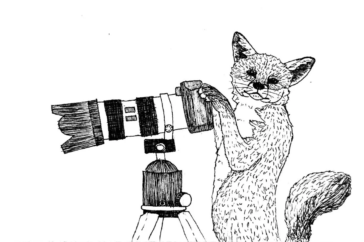 Camera