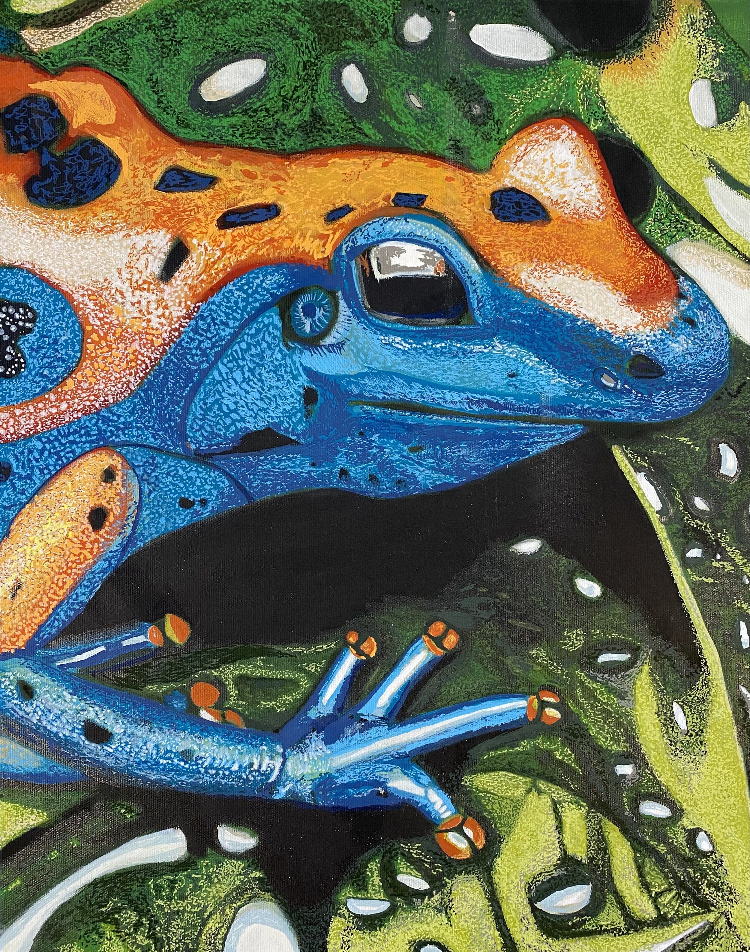 Curious Frog