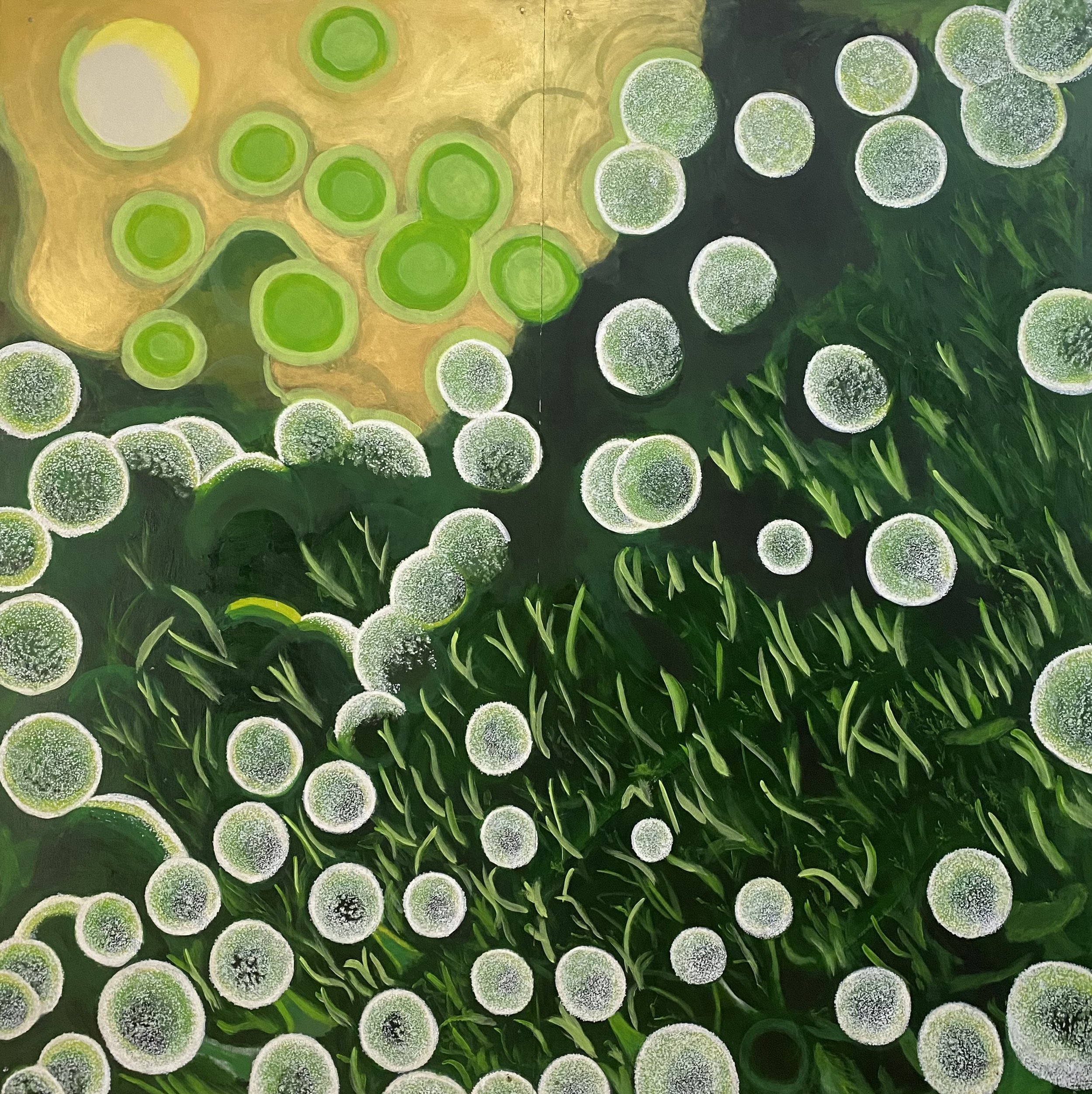 Moss Macro