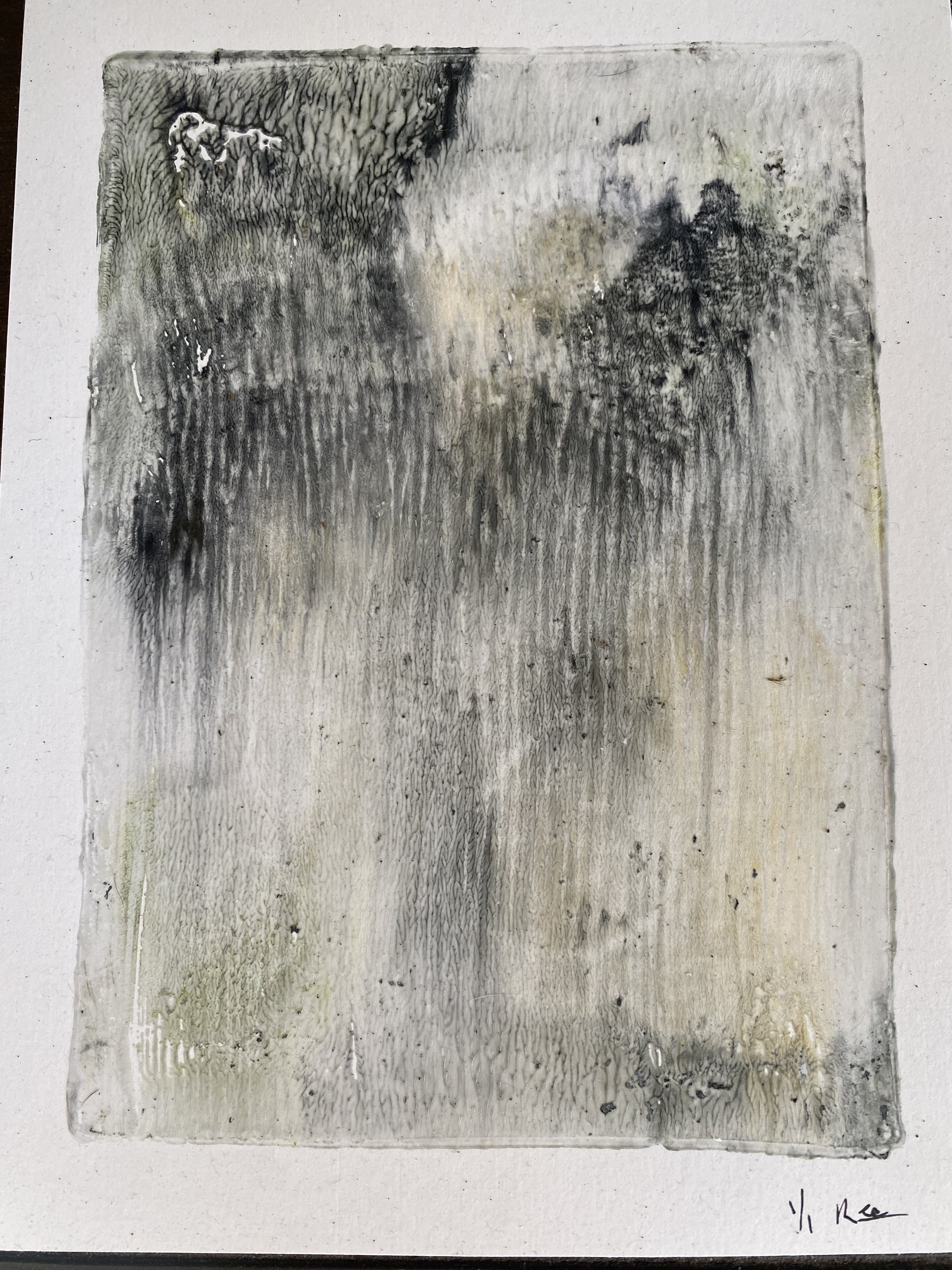 Mono Print