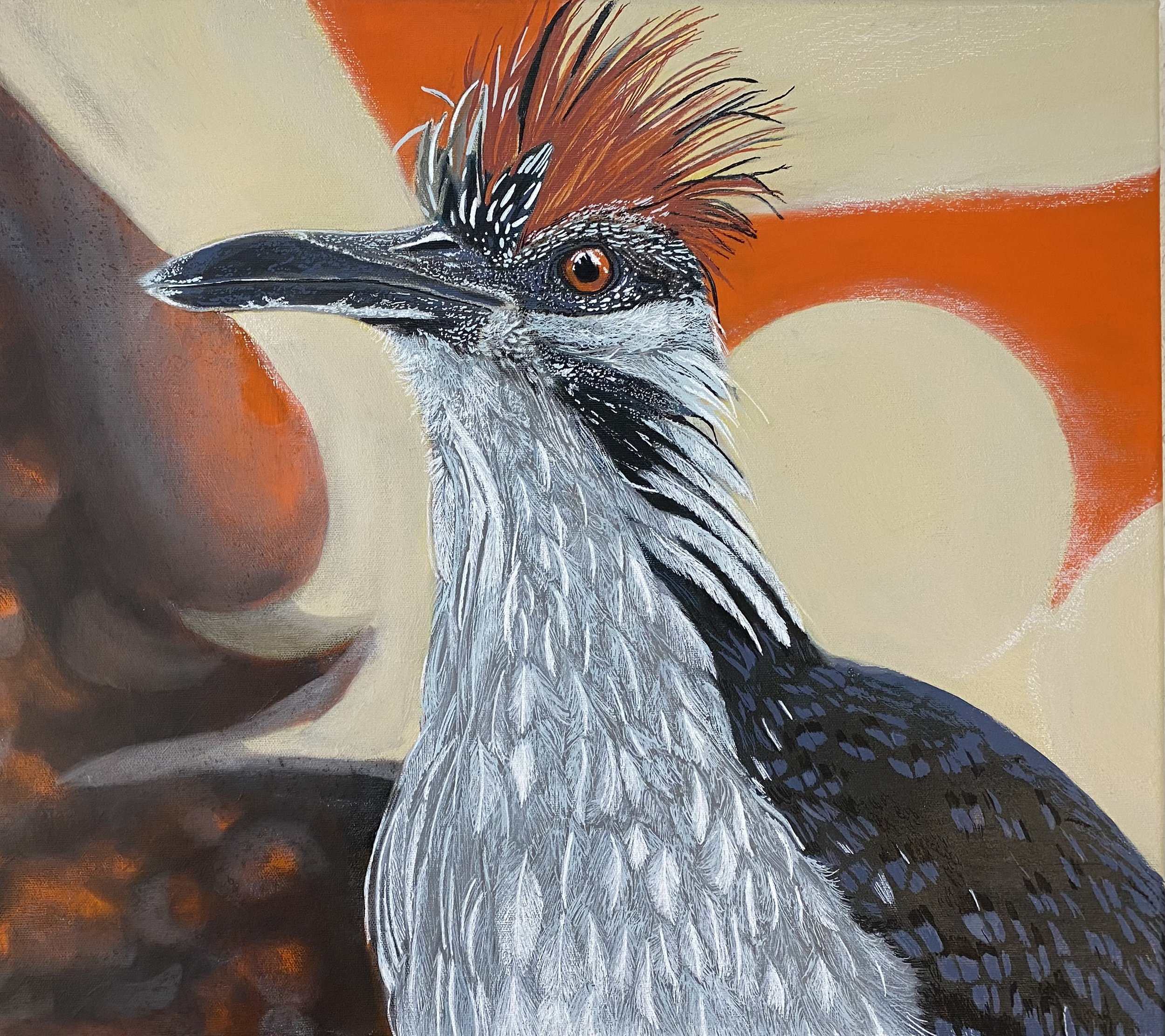 Roadrunner