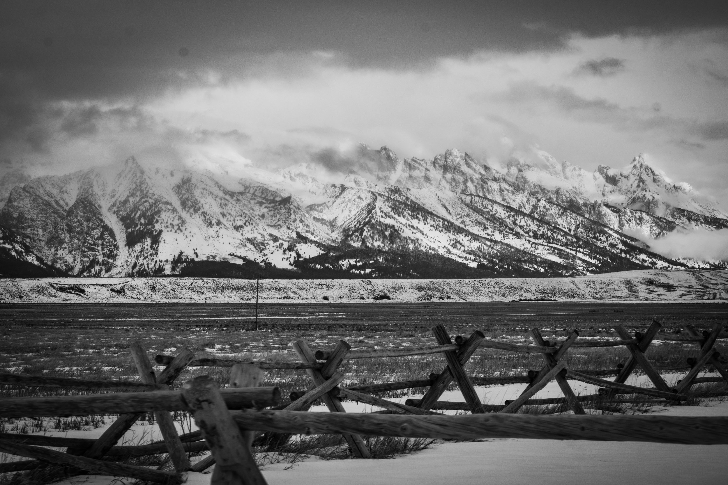 Elk Refuge Jackson Hole-5.jpg