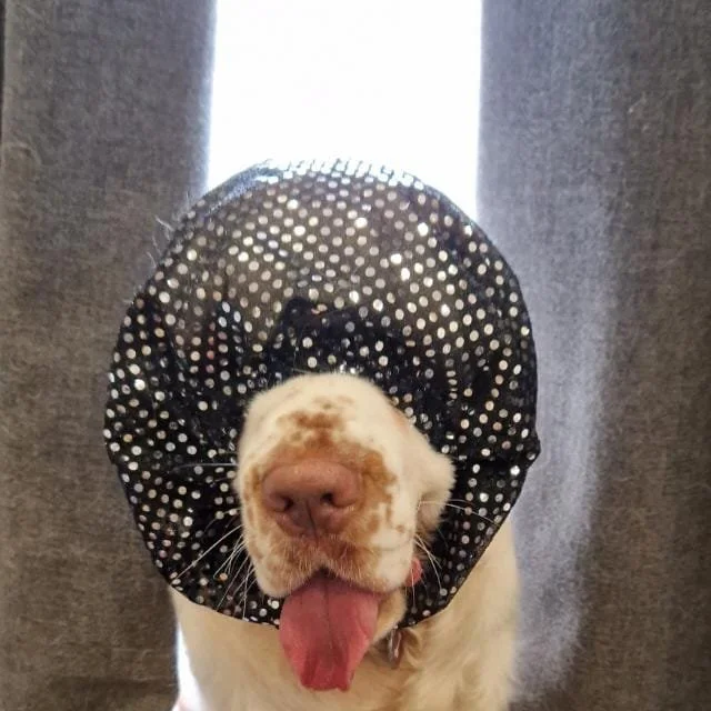 WhatsApp Image 2025-01-28 at 08.51.06_e7997eeb.jpg