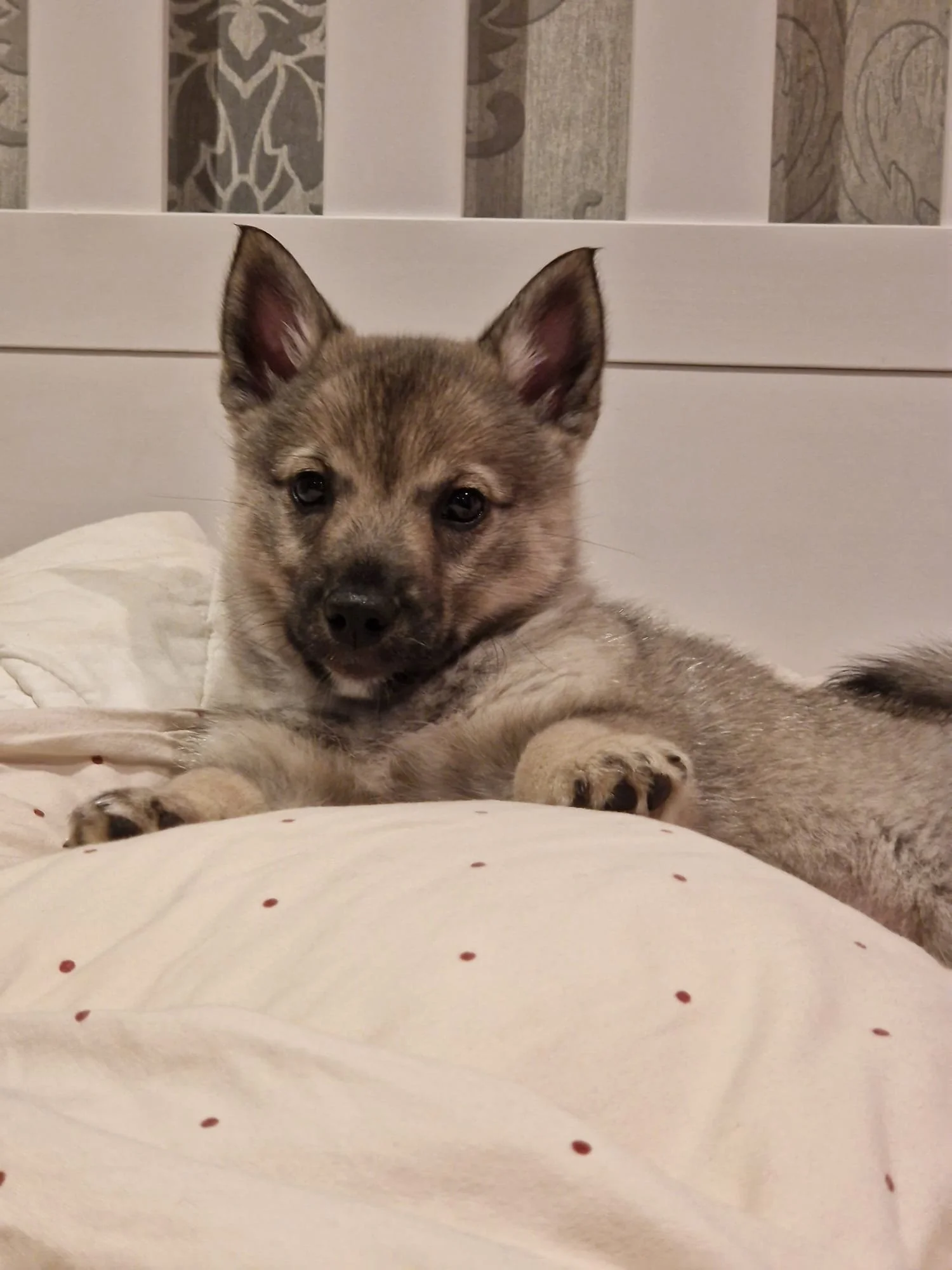 WhatsApp Image 2024-04-16 at 19.26.10_7a55814f.jpg