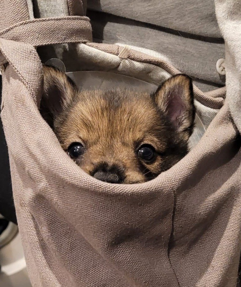 WhatsApp Image 2025-01-27 at 21.29.02_7eb3c26e.jpg