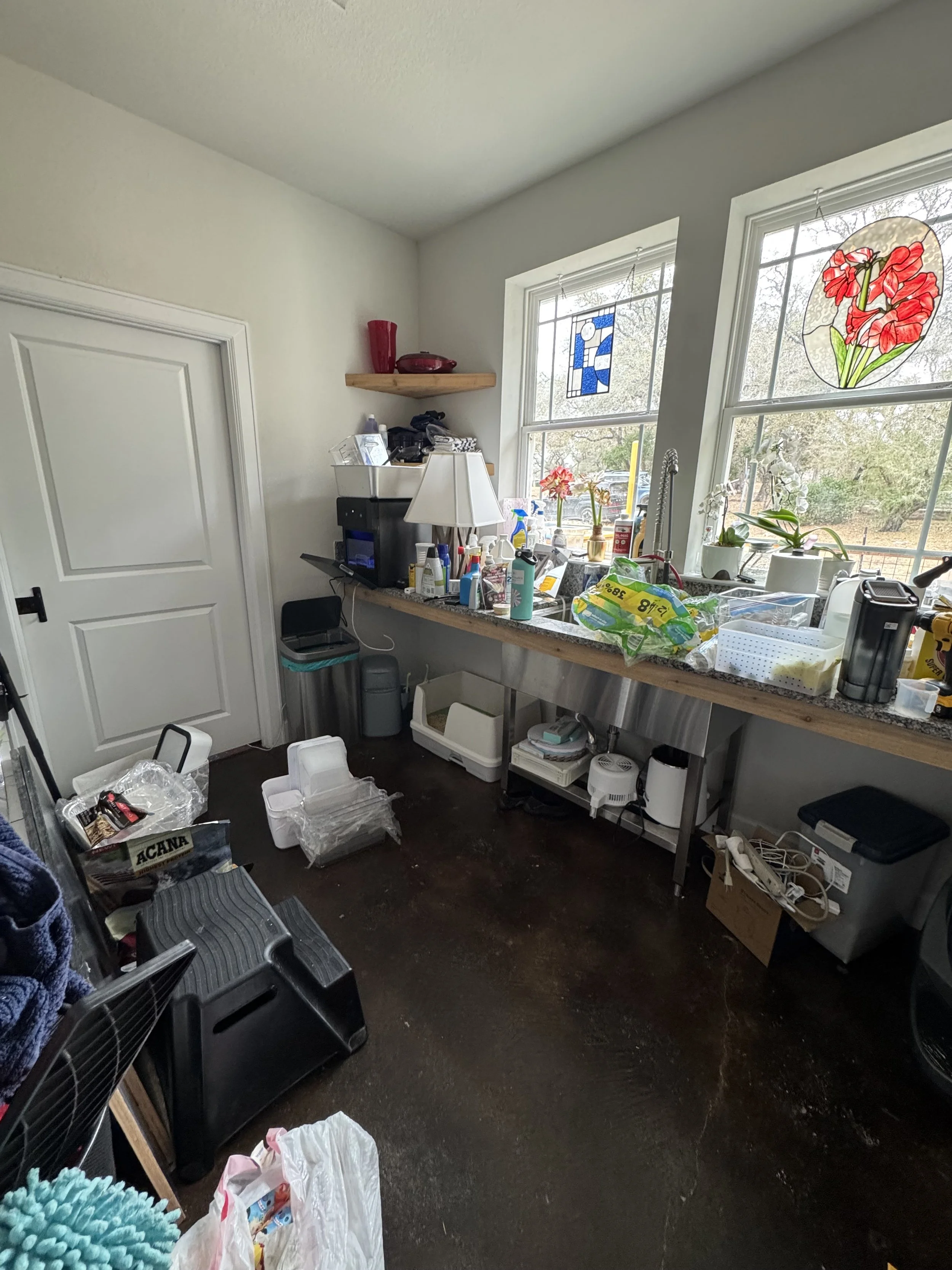 IMG_5201.jpeg