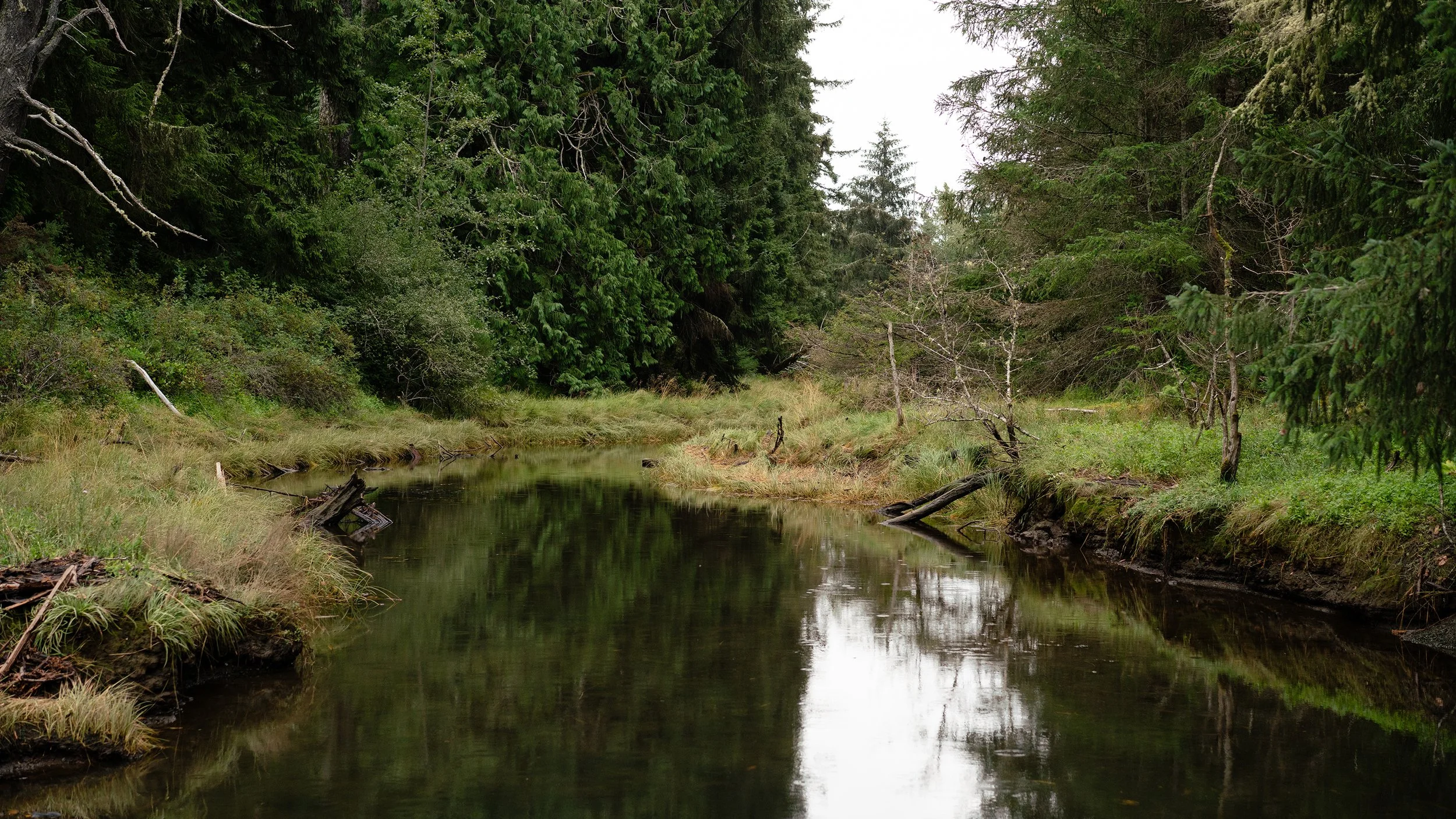 Case Study: Impact-Led Strategy and Website Design for JRWA