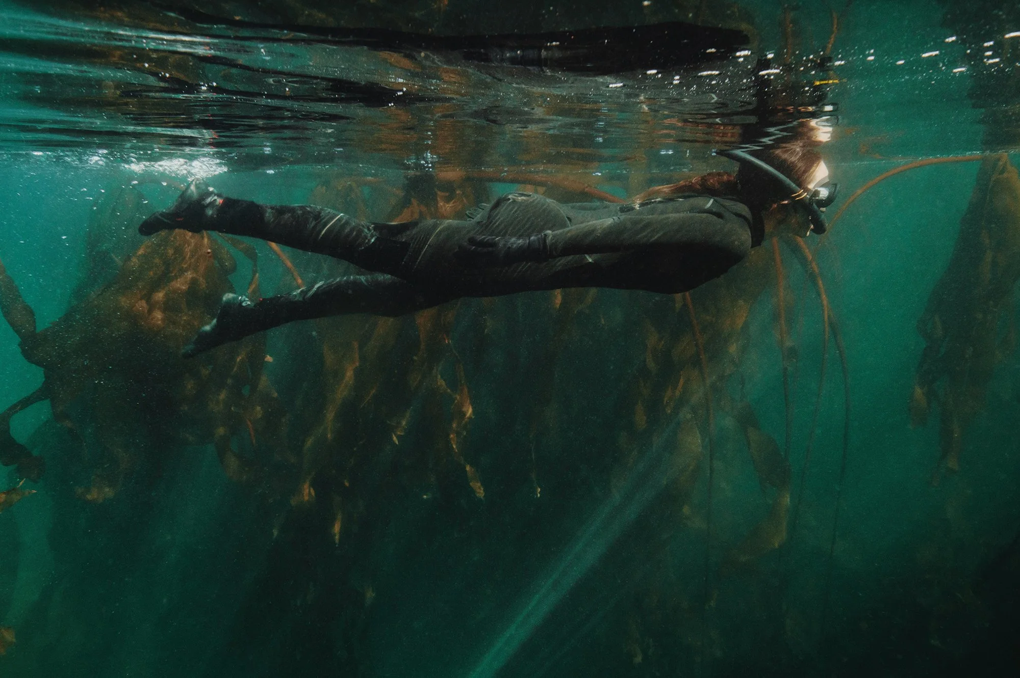 CASE STUDY: HOLIDAY GIVING CAMPAIGN FOR KRI