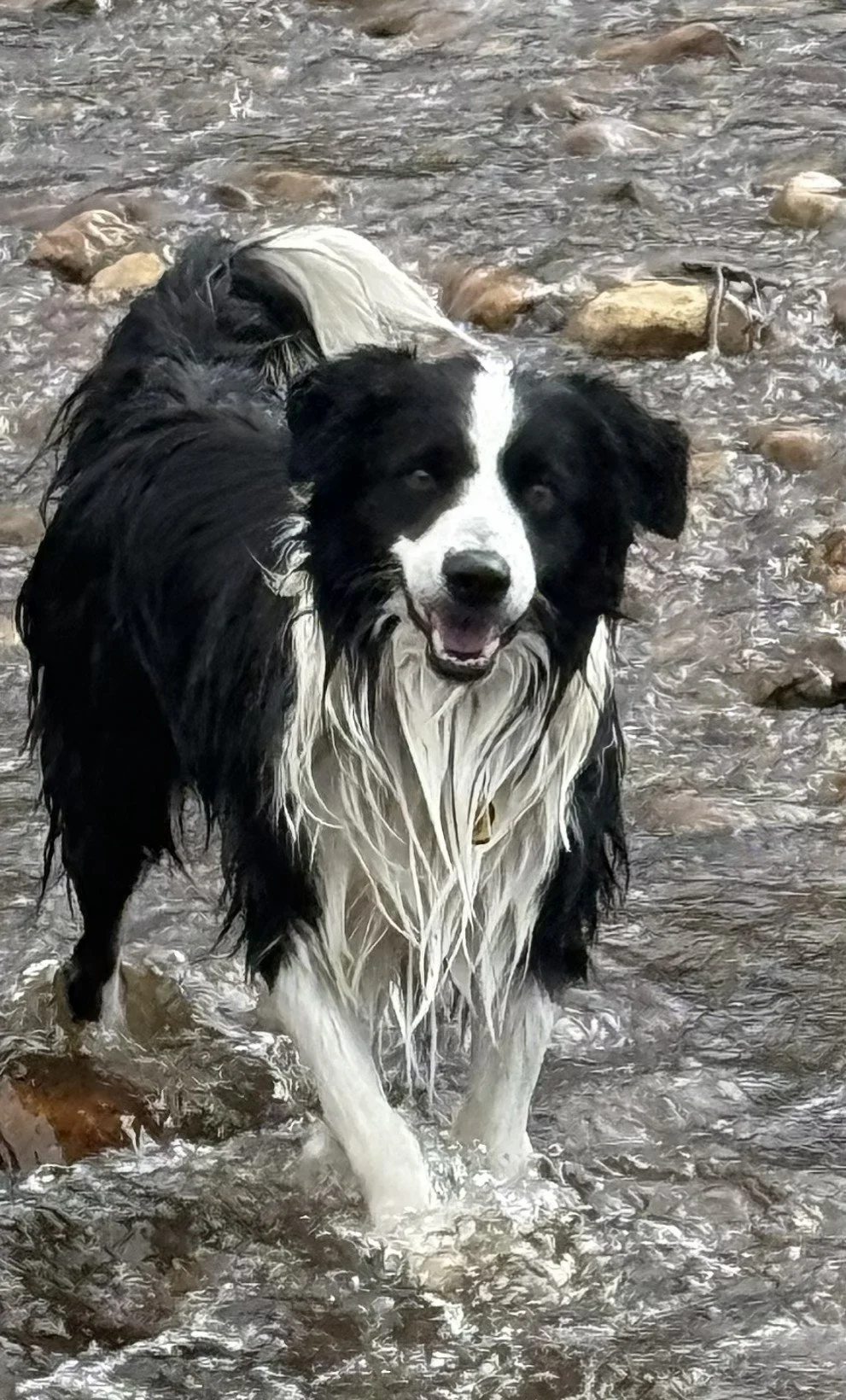 Bridger happy in water.jpg