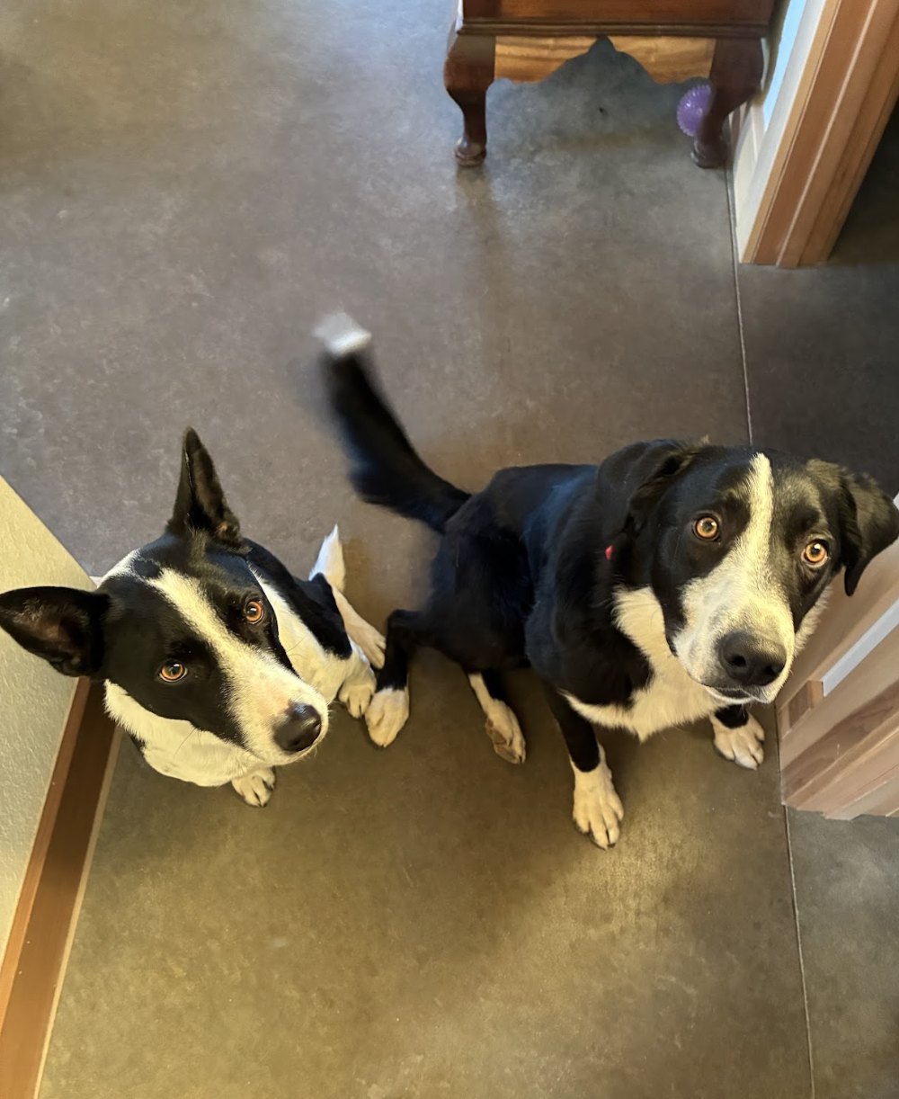 Screenshot 2026-01-25 at 11.52.14 AM.png