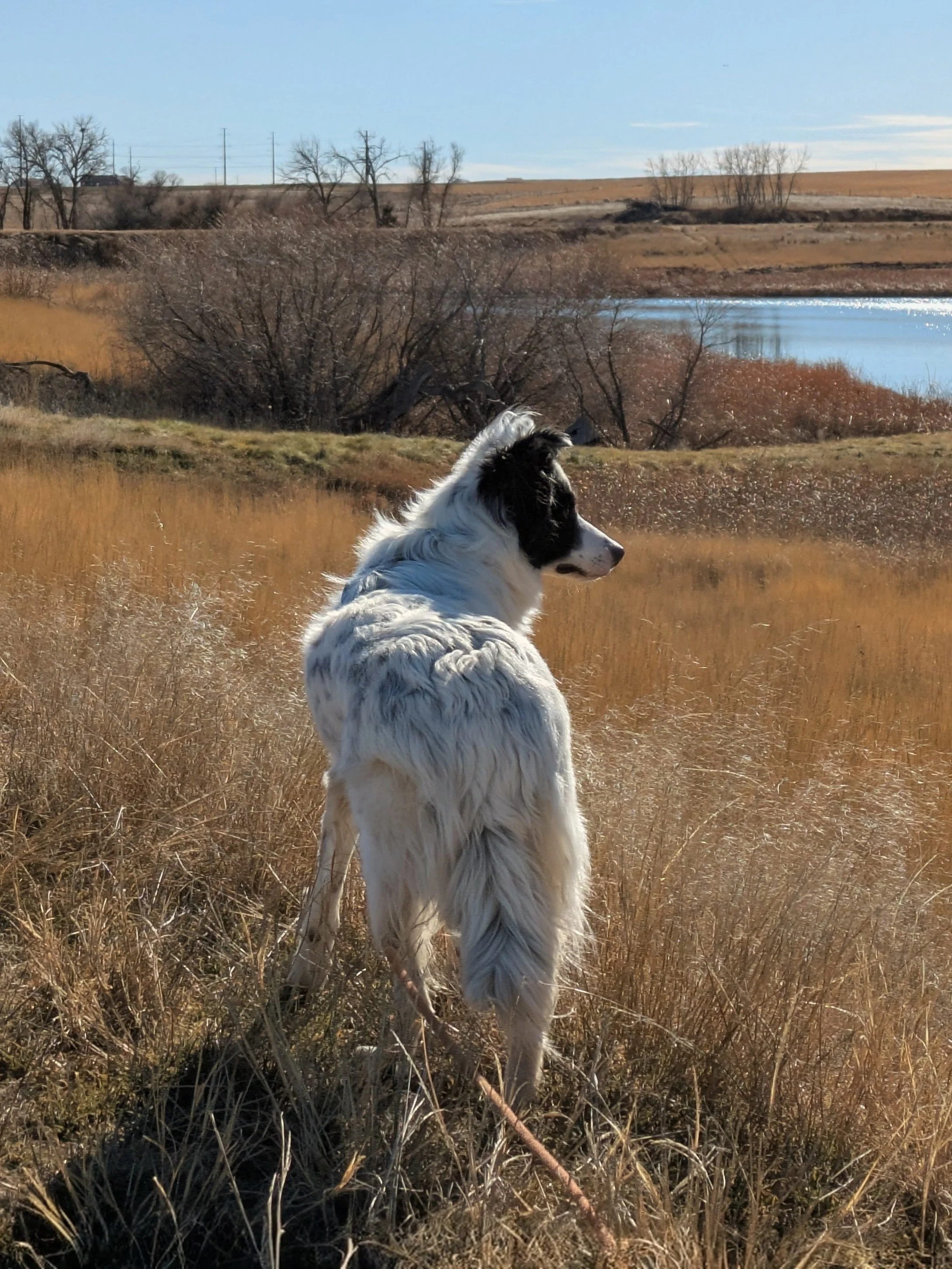 Keller from back.jpg