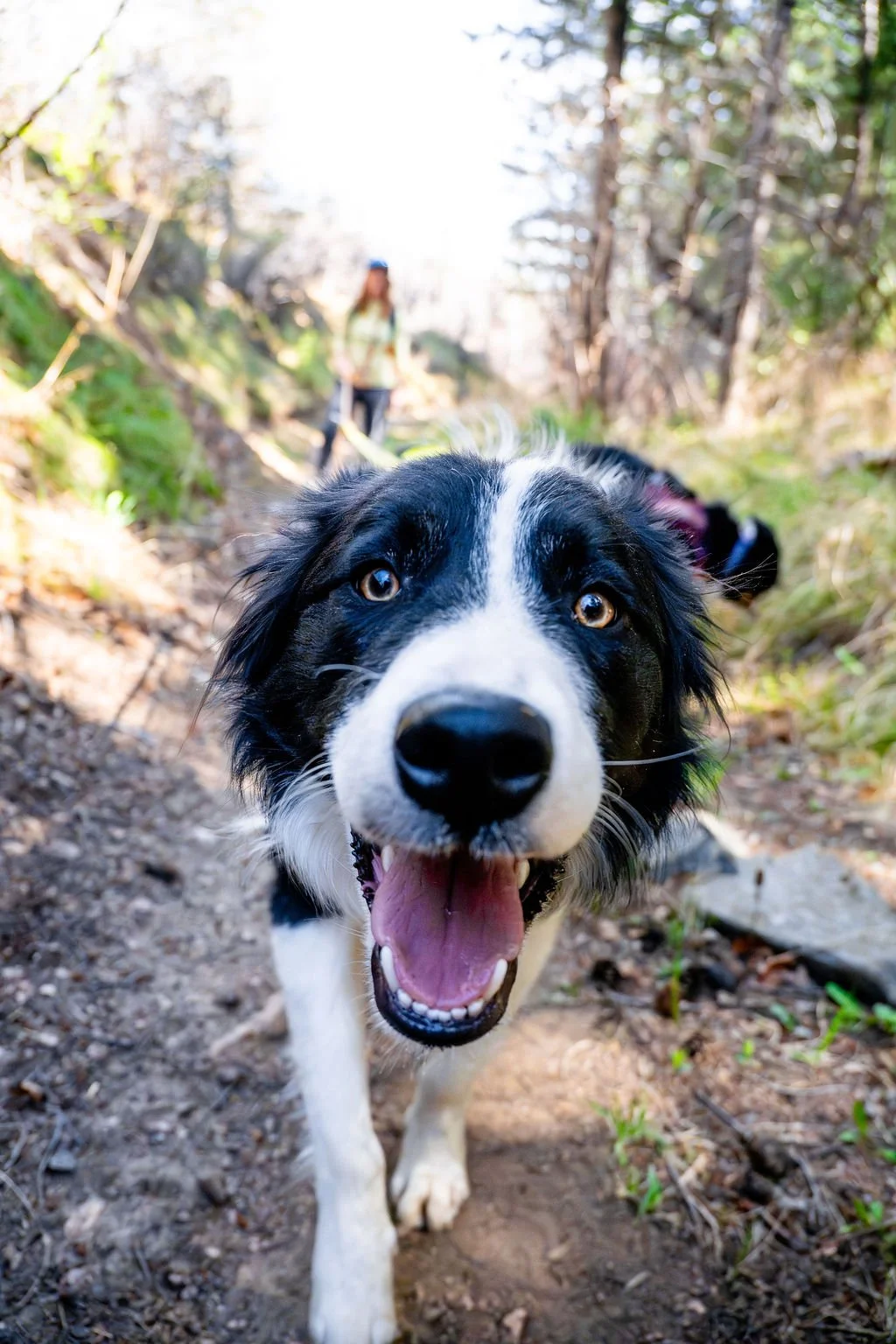 Fergal hiking close.JPG