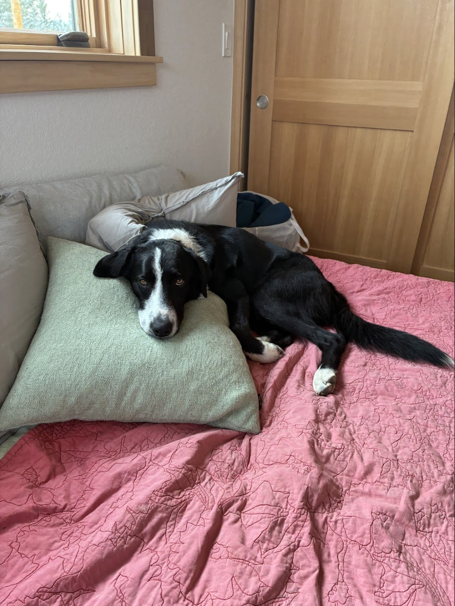 Screenshot 2026-01-25 at 11.52.23 AM.png