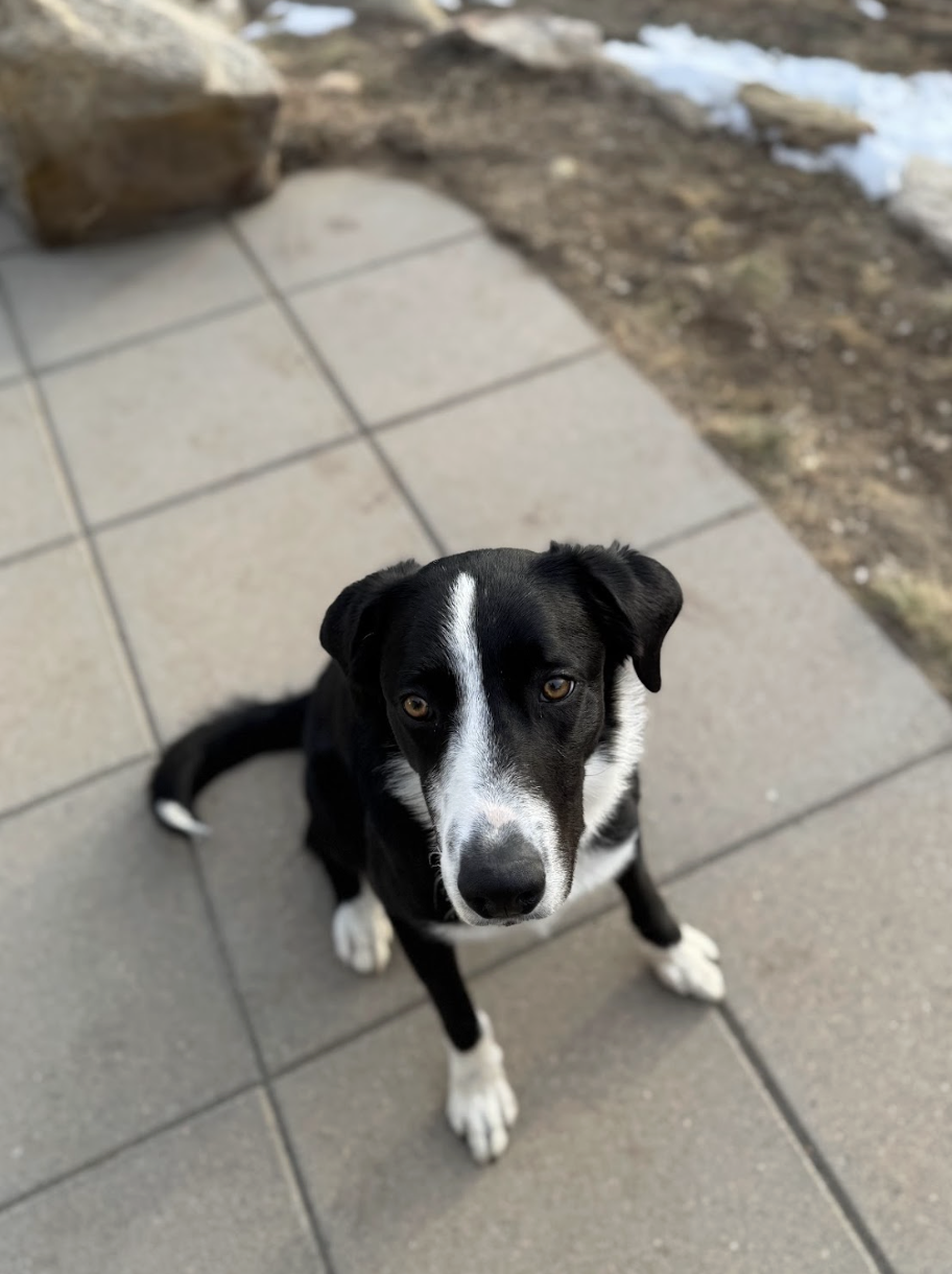 Screenshot 2026-01-25 at 11.51.48 AM.png