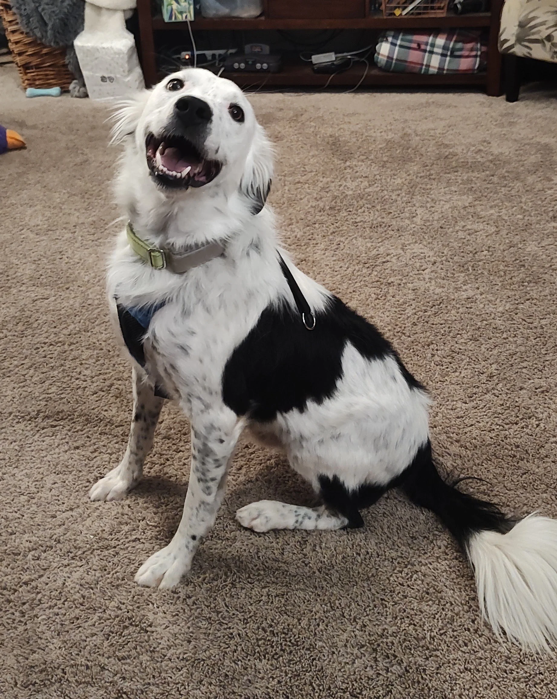 Teddy side view.jpg