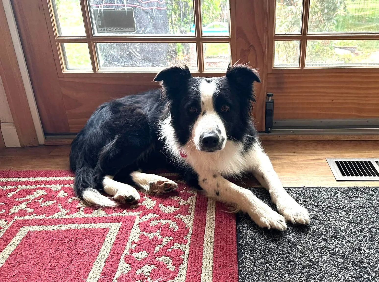 Zep