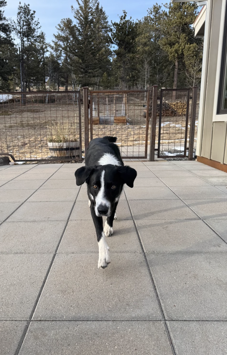 Screenshot 2026-01-25 at 11.51.57 AM.png