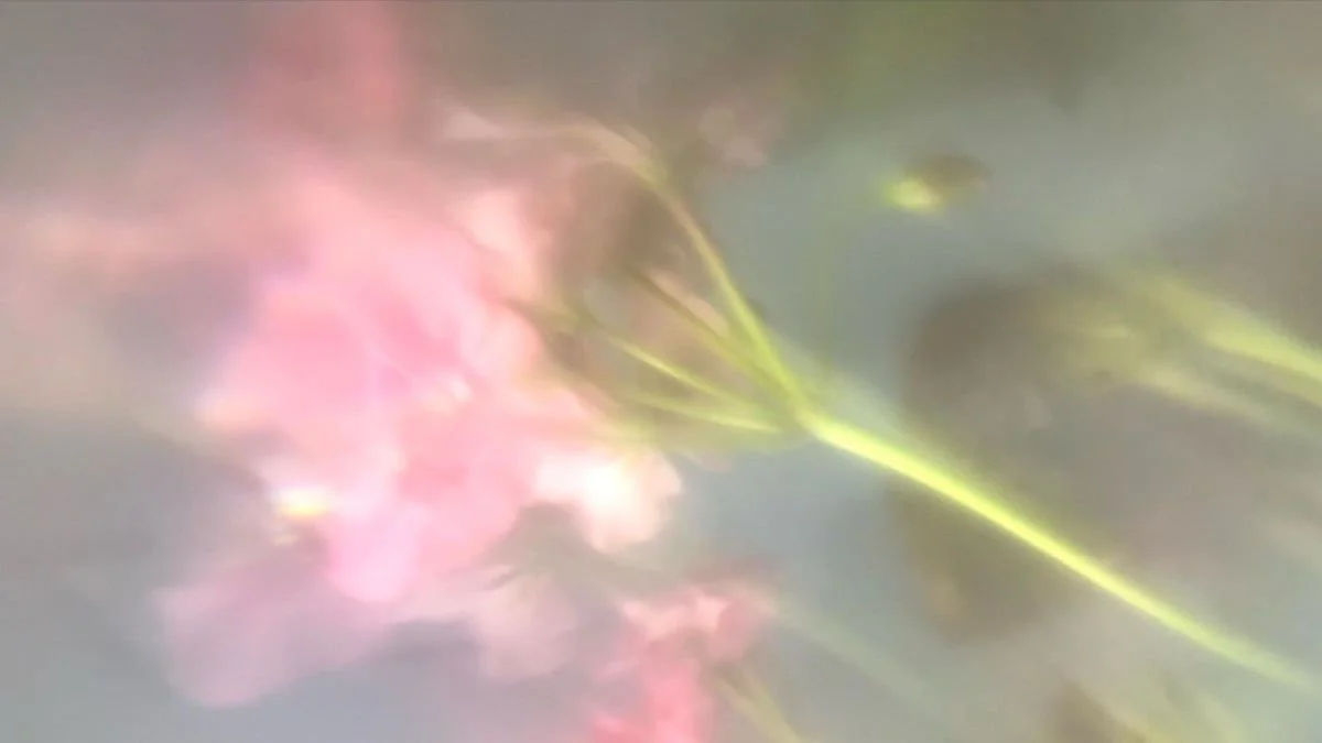 Blurred image of pink flowers and green stems against a soft gray background.