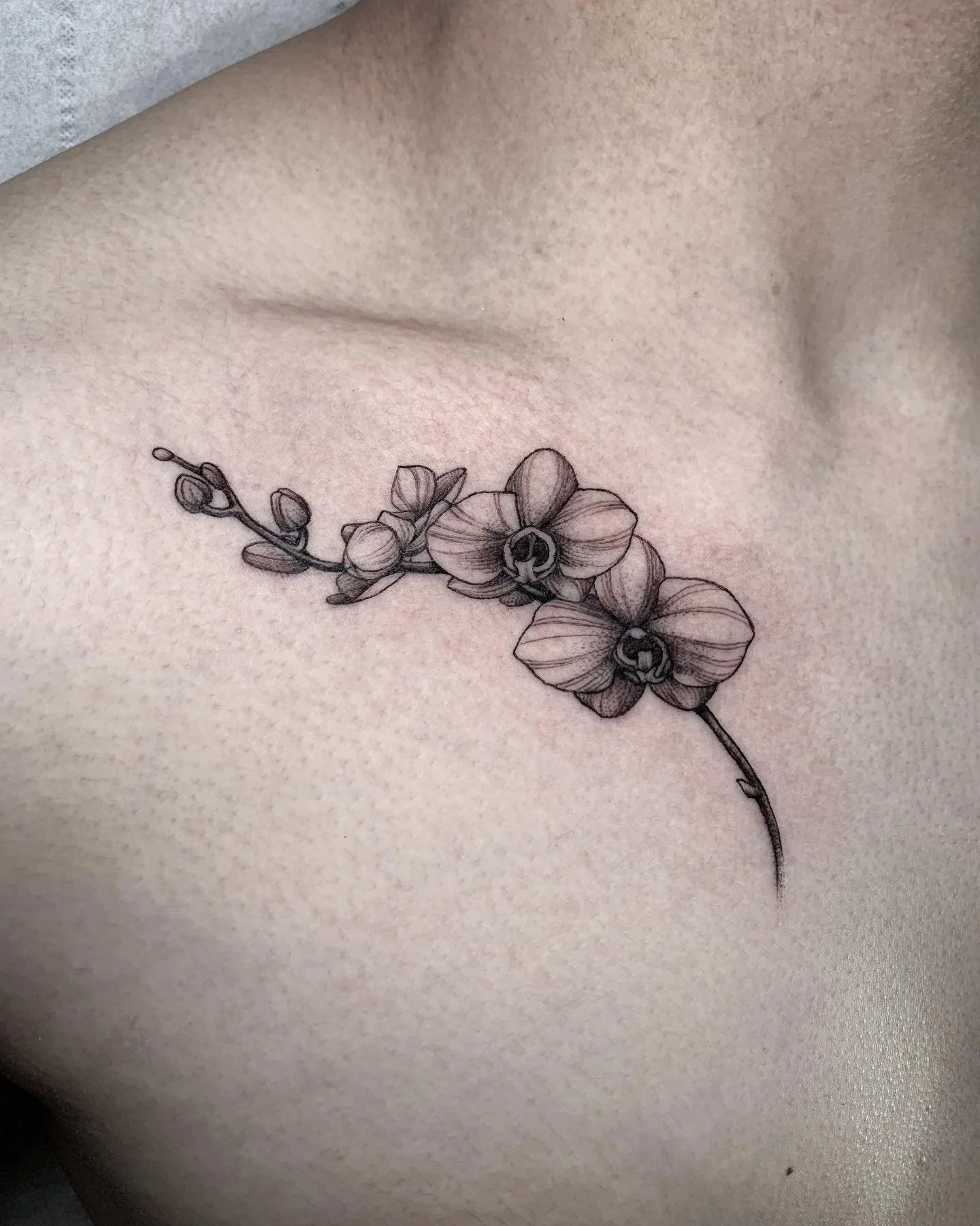 Orchids on the collarbone for David&rsquo;s first tattoo. Thanks for the trust, can&rsquo;t wait to do the matching side! 🖤

@cloakanddaggerlondon